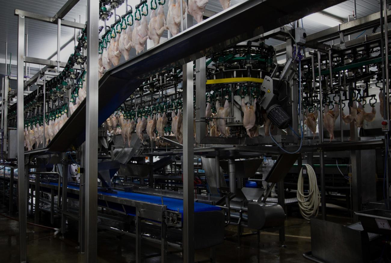 Se agrava la crisis de Granja Tres Arroyos: ofreci&oacute; pagar parte de los salarios con pollos