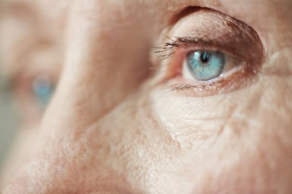 Aplicación para detectar Alzheimer con la pupila. (foto: Policlínica Metropolitana)