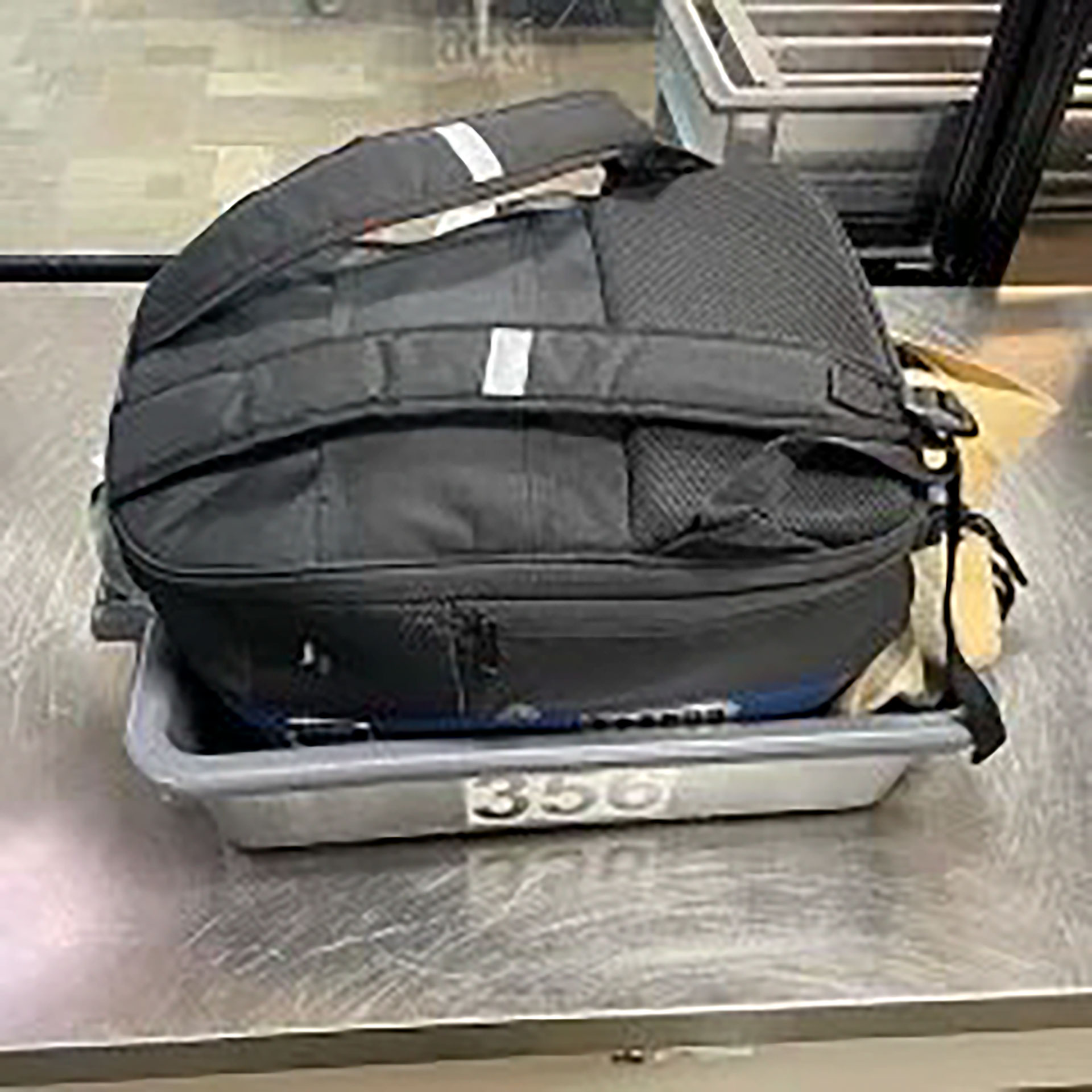 La mochila en la que fue encontrado el perro por la TSA 
