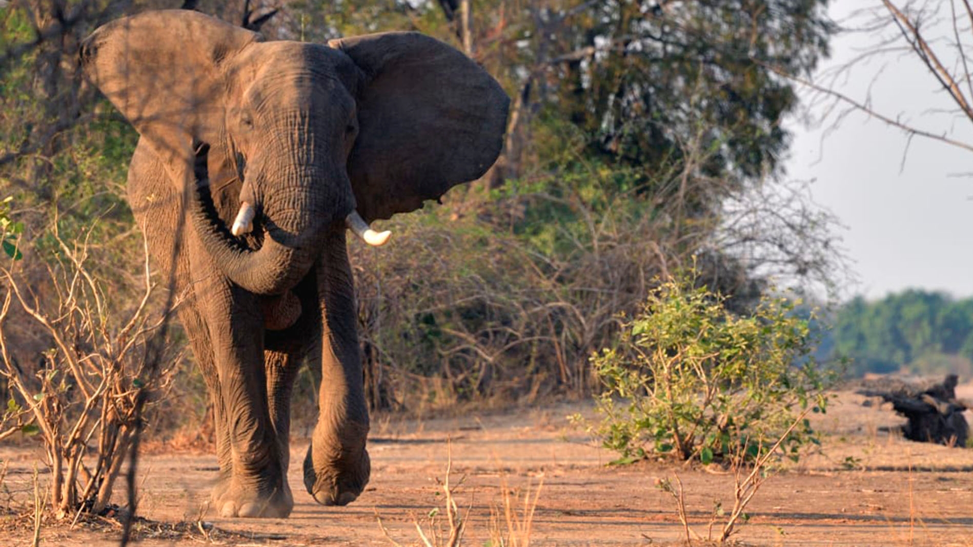 “Estamos desesperados y pedimos una fe de vida”, aseguró la esposa del abogado argentino secuestrado en Venezuela
