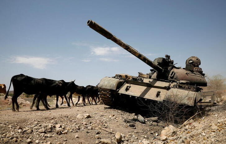 Vacas junto a un tanque dañado en los combates entre el Gobierno etíope y las fuerzas de Tigray, cerca de la ciudad de Humera, Etiopía (REUTERS/Baz Ratner)