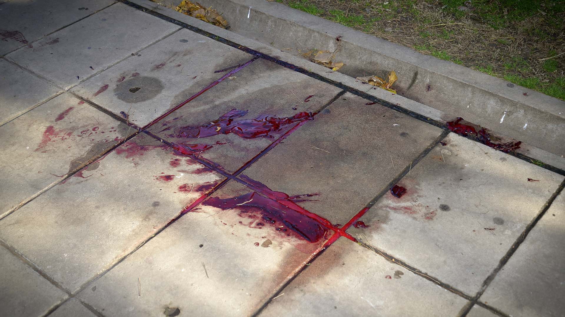 La sangre de Díaz en el camino interno del barrio Samoré en Lugano (Gustavo Gavotti)