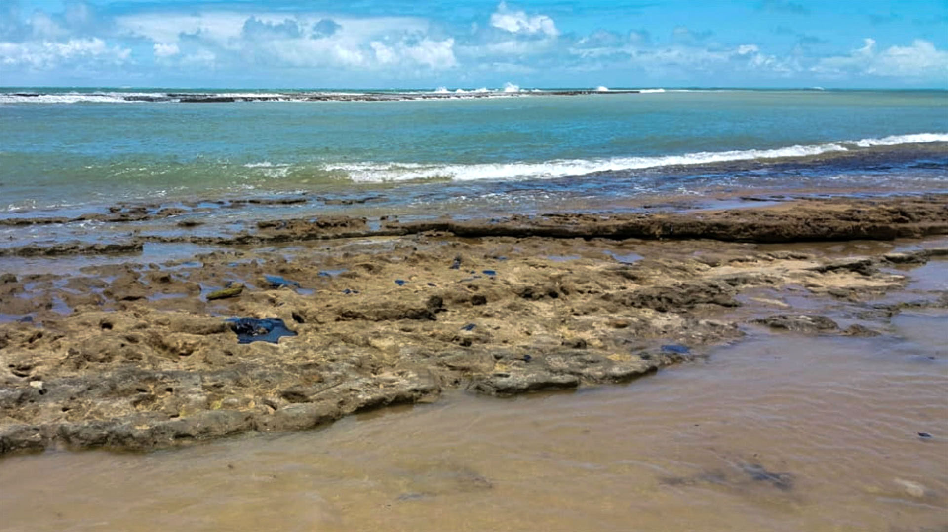 El vertido de crudo contaminó el litoral de “más de 1.000 localidades” de 11 estados del país (HO / IBAMA / AFP)