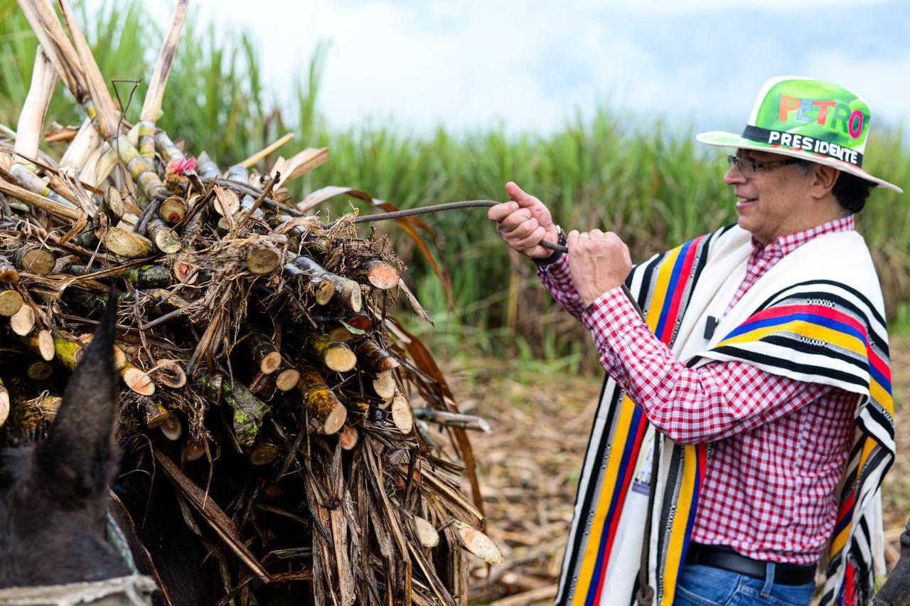 Gustavo Petro aceptó que no cumplirá con la reforma agraria: no podrá  entregar los tres millones de hectáreas que prometió - Infobae