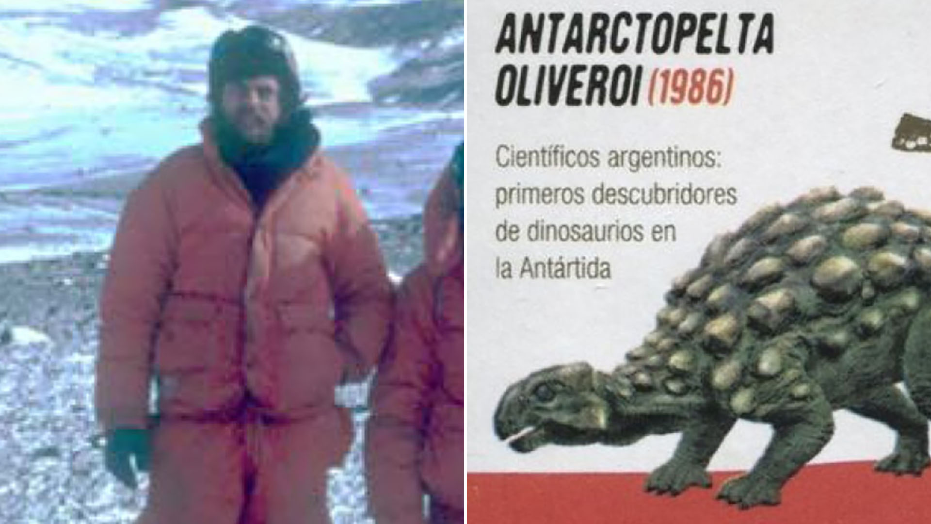 El otro gol a los ingleses”: memorias del geólogo argentino que descubrió  el primer dinosaurio en la Antártida en 1986 - Infobae