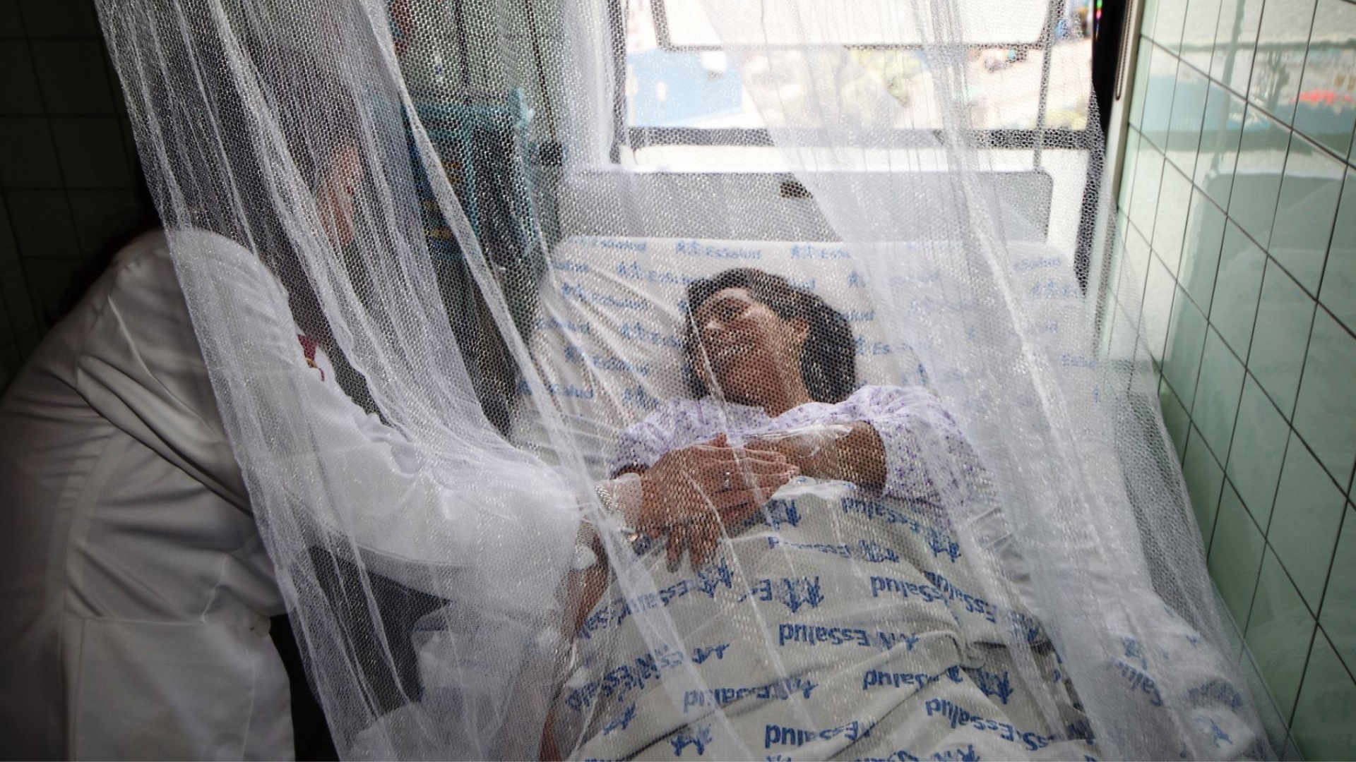 Los pacientes con dengue grave deben permanecer internados y aislados de futuras picaduras (Andina)