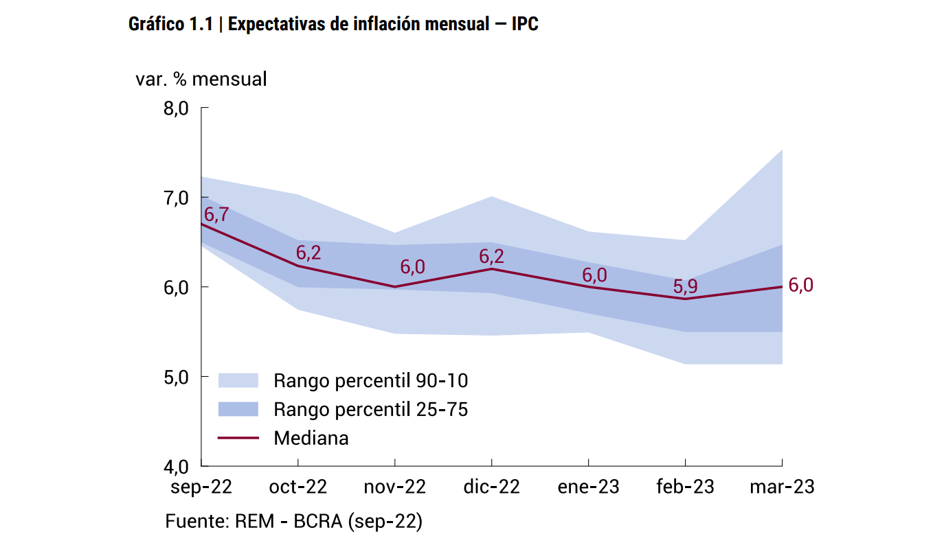 Las expectativas de inflación para los próximos meses, según el relevamiento del BCRA