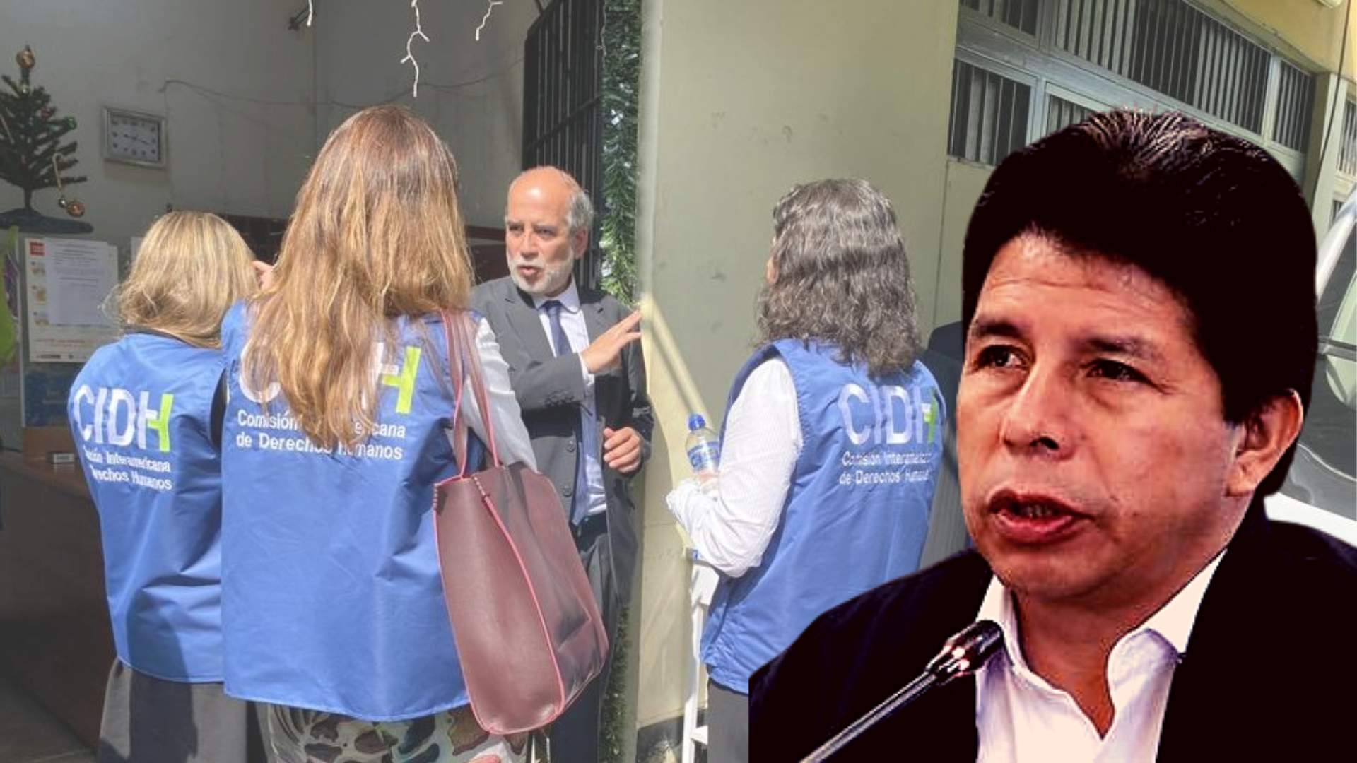 Pedro Castillo: equipo de CIDH se reunió con el expresidente en el penal Barbadillo