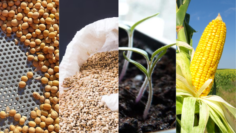 Pidieron más de 3 años de prisión para un hombre por la muerte de una adolescente tras consumir cocaína en su casa