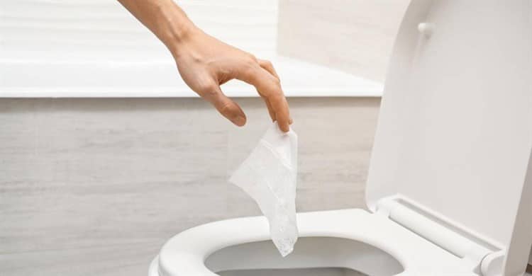 El papel higiénico debe tirarse en basura o en el inodoro? - Infobae