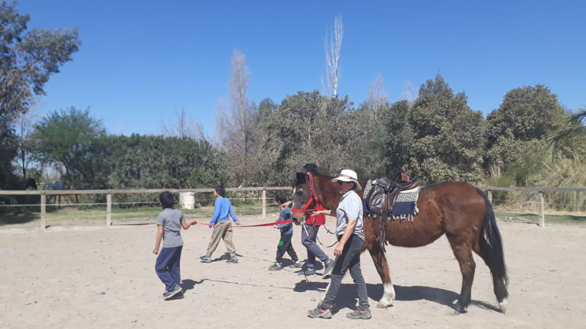 Liliana Aguirre sana a través de los caballos