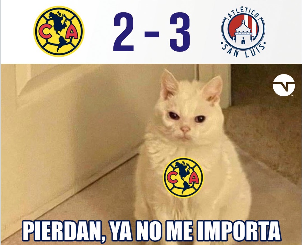 América vs San Luis: los mejores memes de la derrota de las “Águilas” en el  Estadio Azteca - Infobae