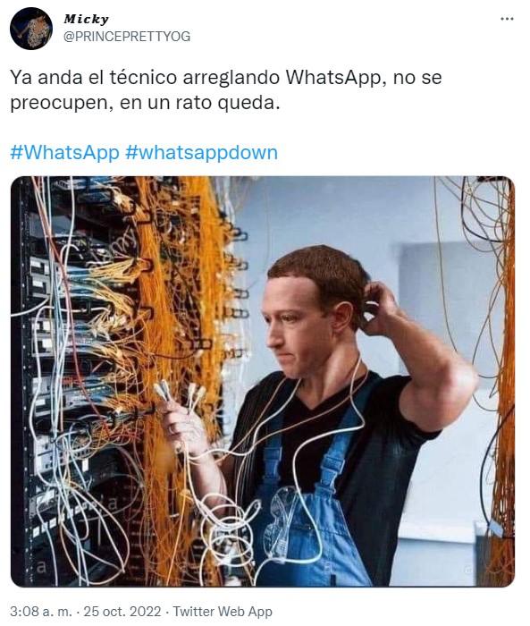 Los usuarios no dudaron en bromear con la caída del servicio de WhatsApp.  (Captura: Twitter/@PRINCEPRETTYOG)