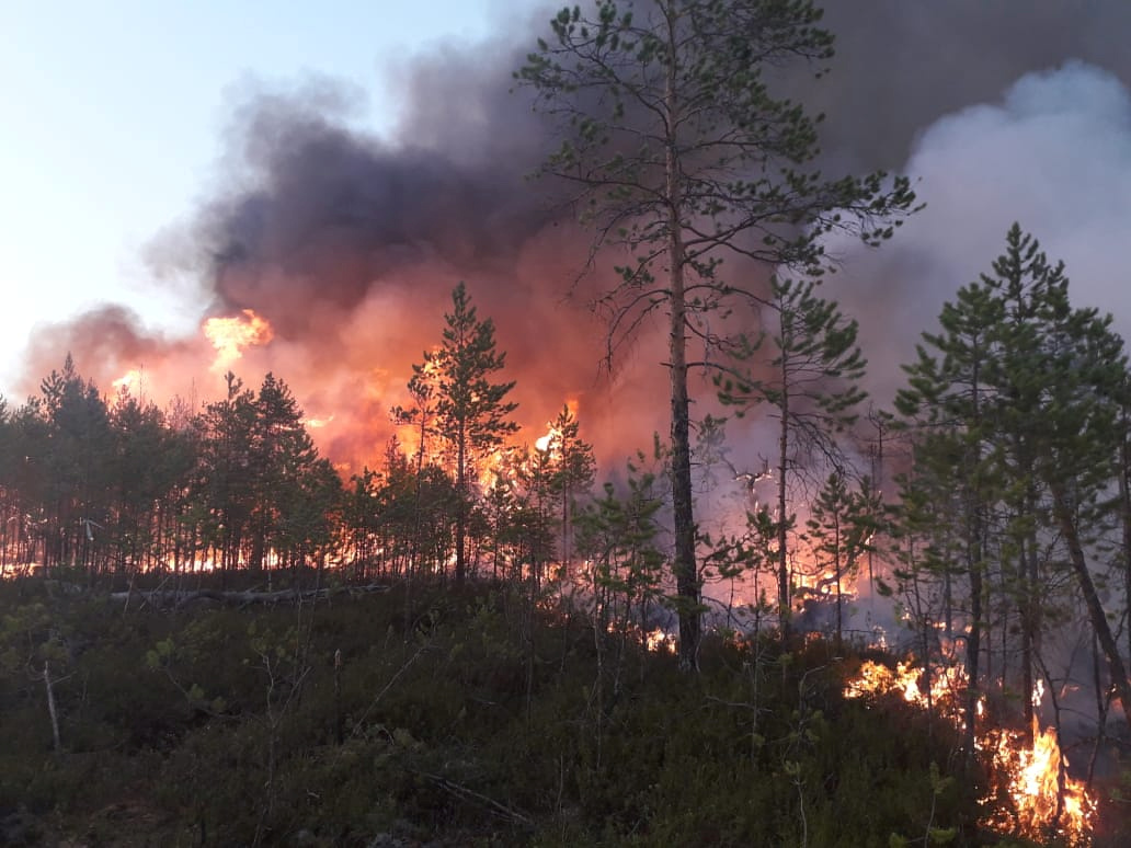 Un incendio en la región de Khanty-Mansi (Servicio Aéreo Ruso de protección forestal via REUTERS)