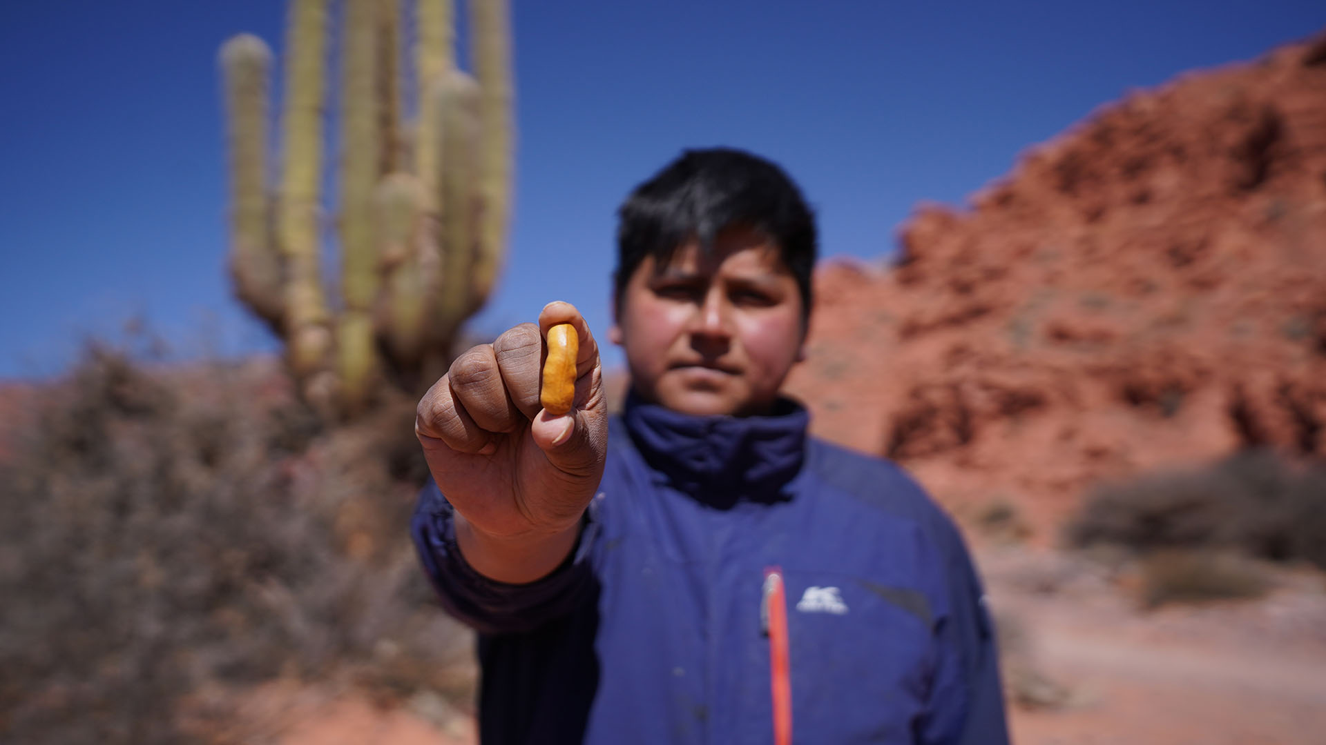 Jujuy y su gente de raíces incas milenarias (Crédito: Lihueel Althabe y Matías Arbotto)