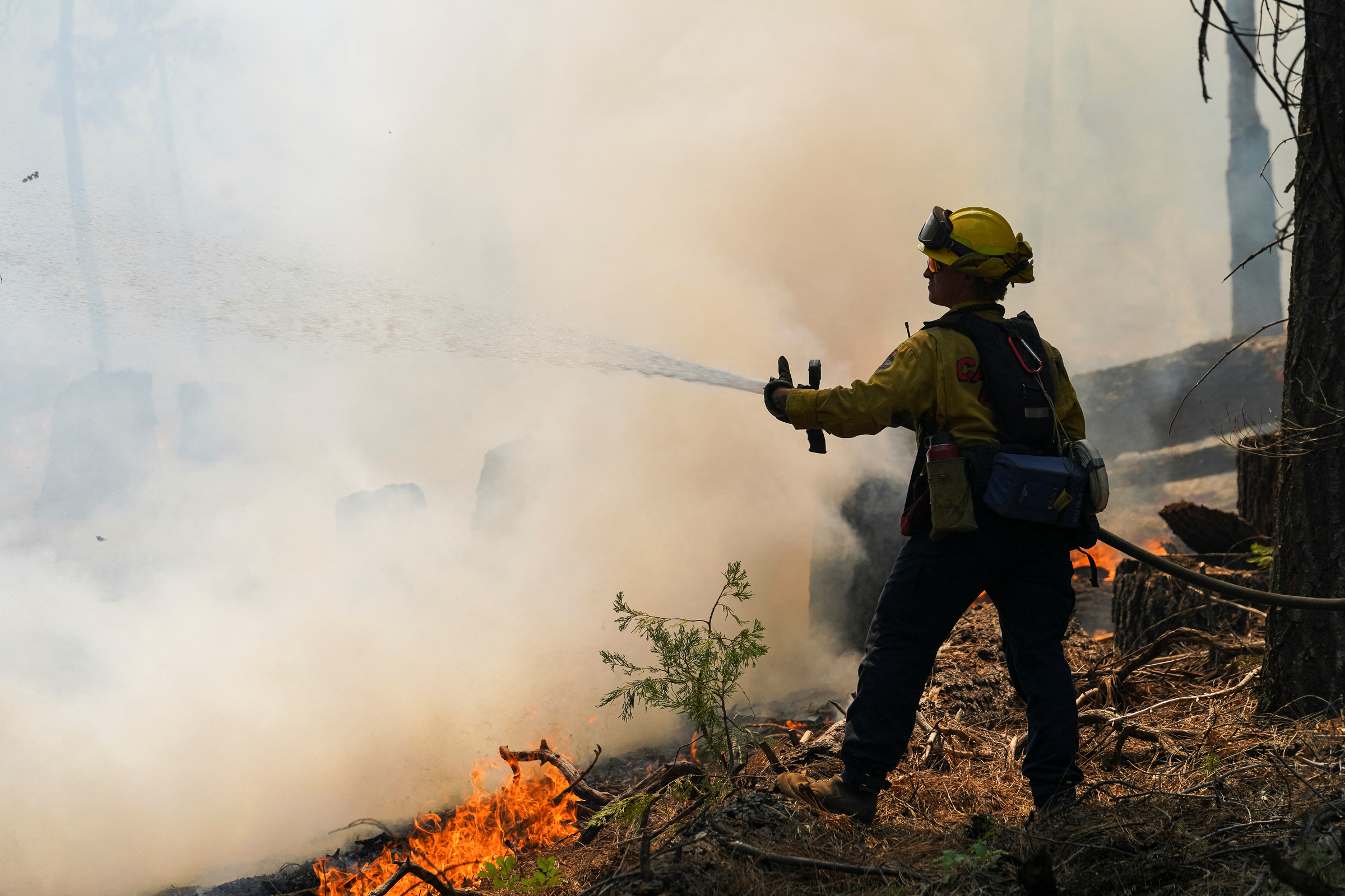 Los bomberos trabajan con aeronaves hidrantes para tratar de controlar las llamas. REUTERS/Tracy Barbutes
