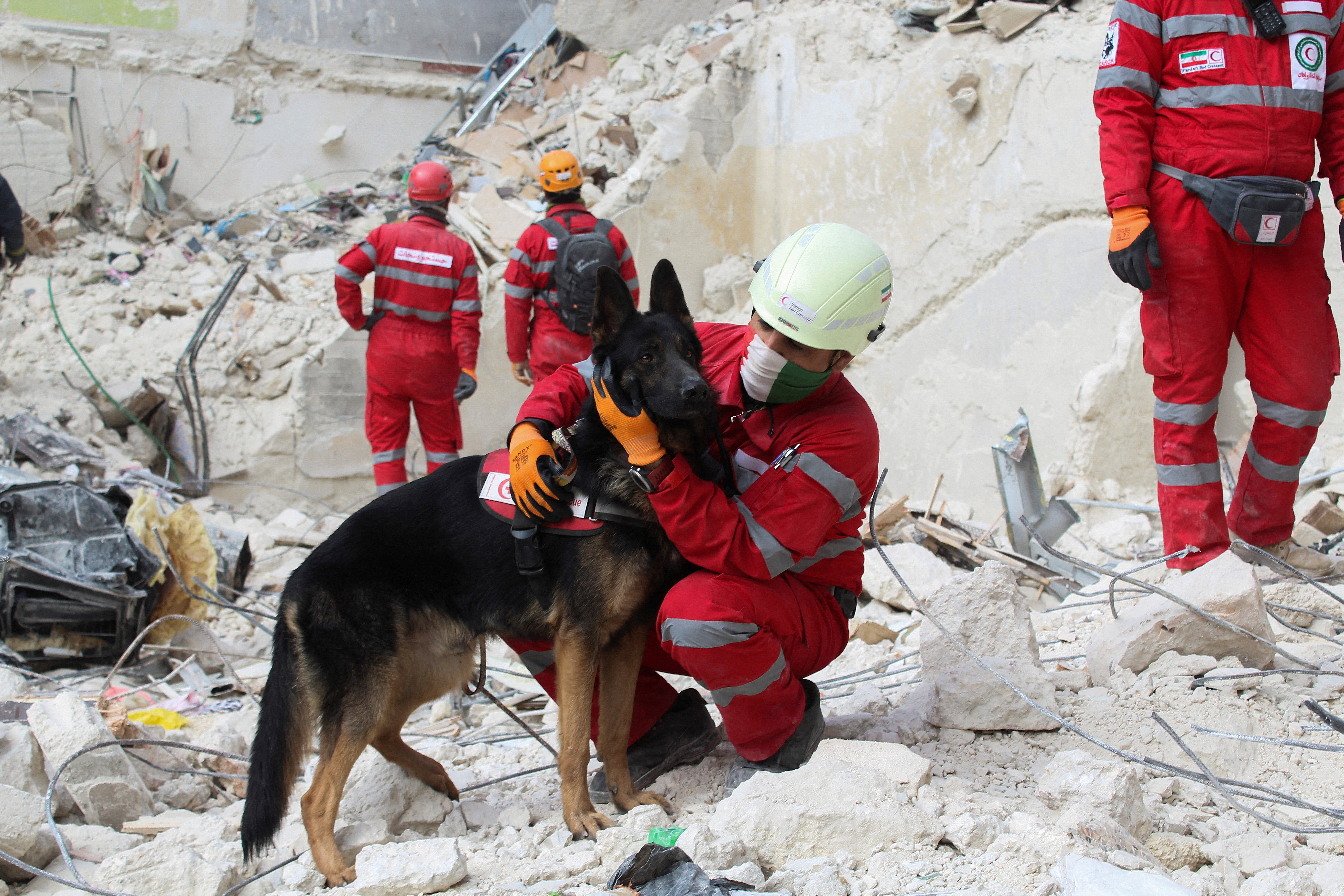 Un miembro del equipo de rescate iraní sostiene a un perro de rescate sobre los escombros de un edificio dañado en Alepo, Siria. (REUTERS/Firas Makdesi)