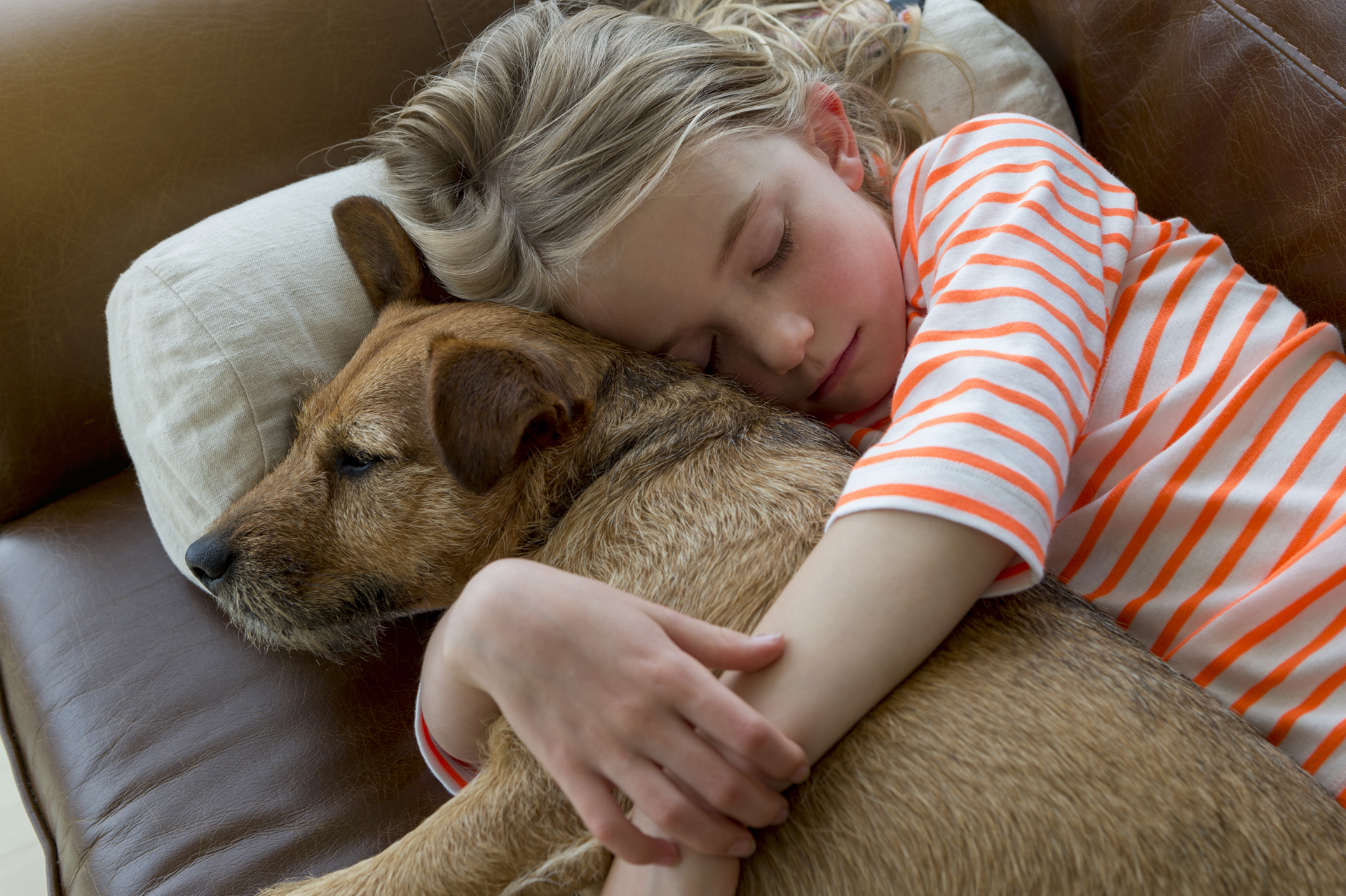 Tener una mascota en casa es una gran responsabilidad, necesitan mucho cariño, cuidado y atenciones (Getty Images)