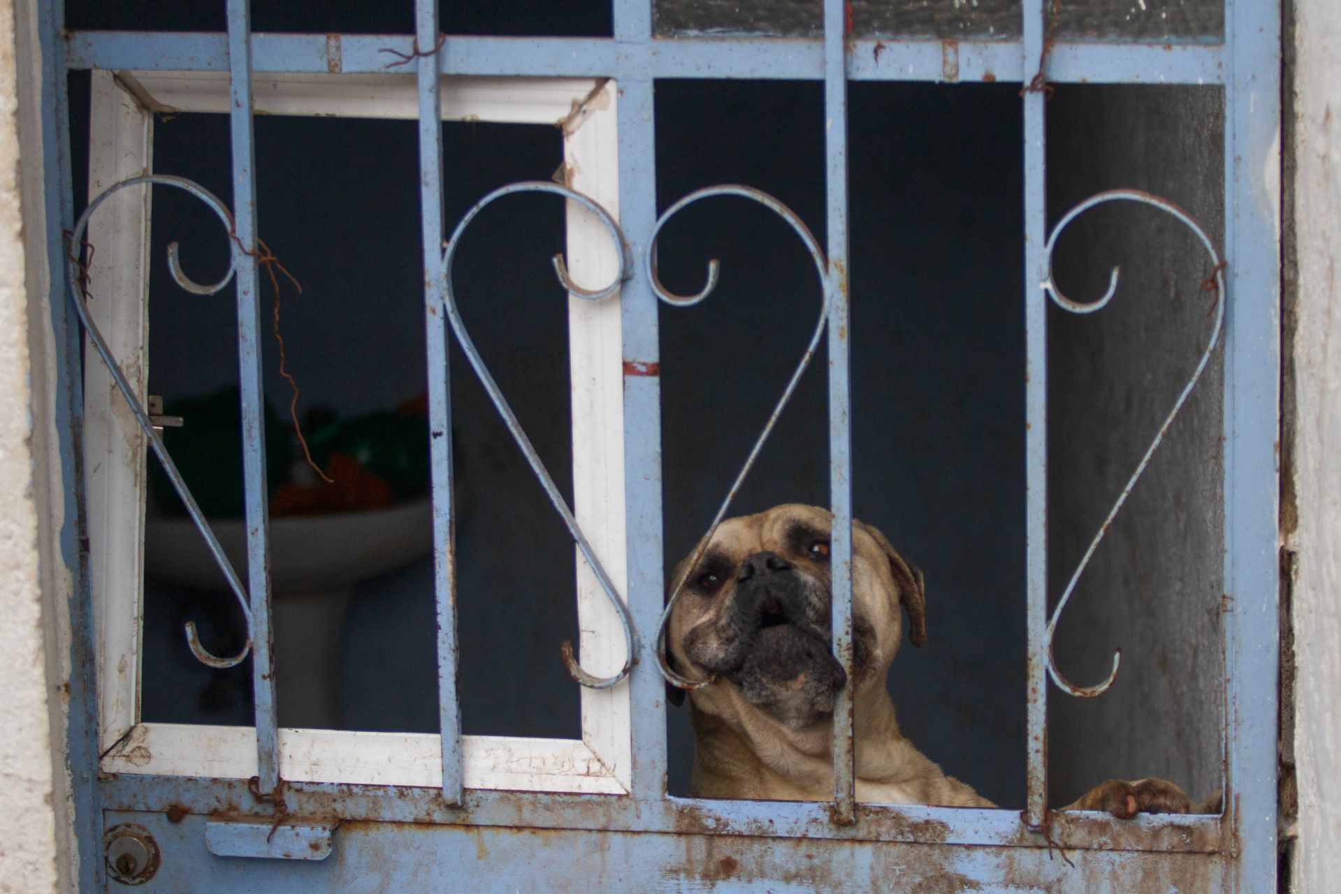 FOTO: GRACIELA LÓPEZ /CUARTOSCURO.COM