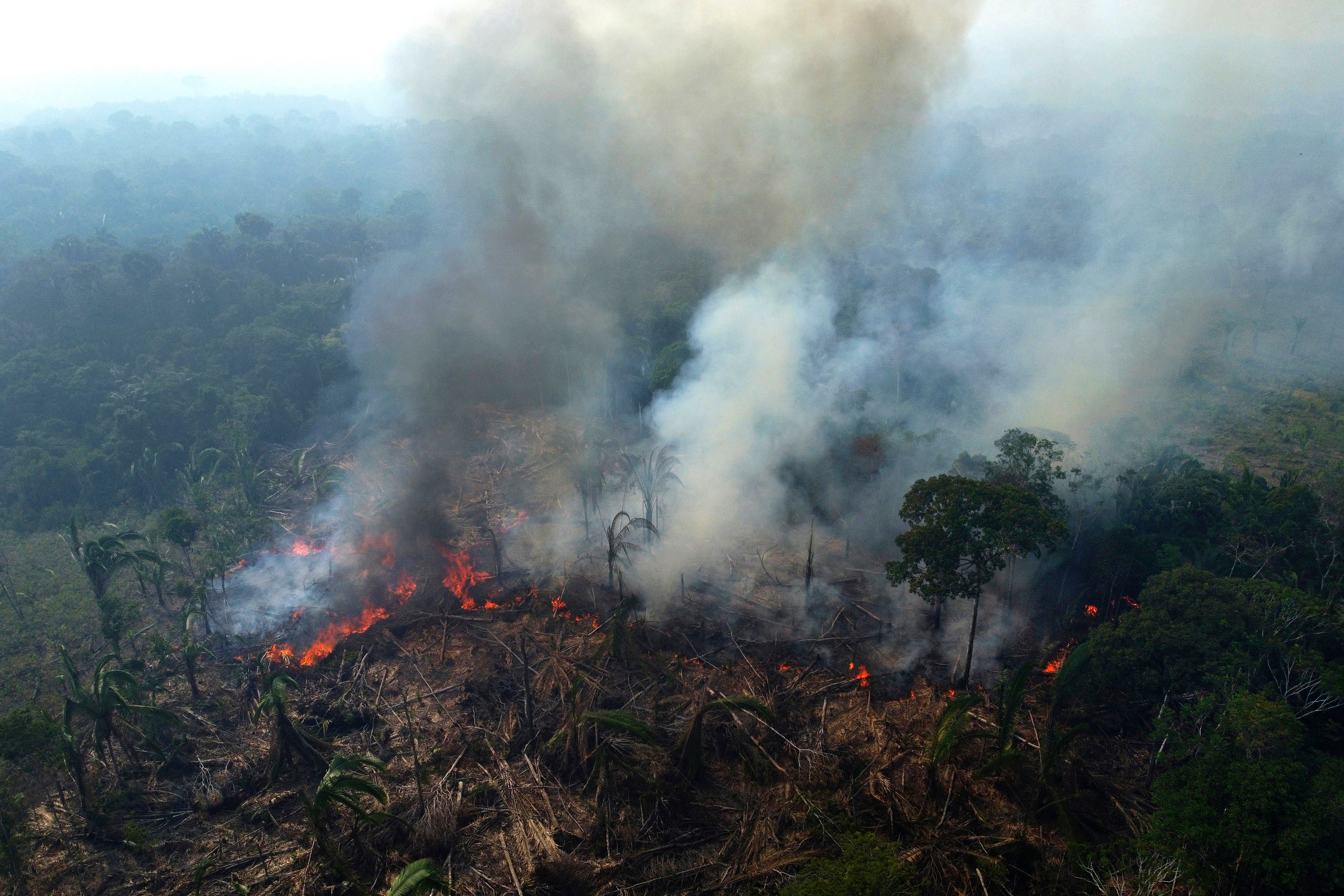 El futuro de las políticas sobre la Amazonía está en juego en las elecciones de Brasil