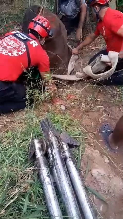 Por qué baja el dólar pese a las compras de divisas del Banco Central: 5 claves para entender al mercado