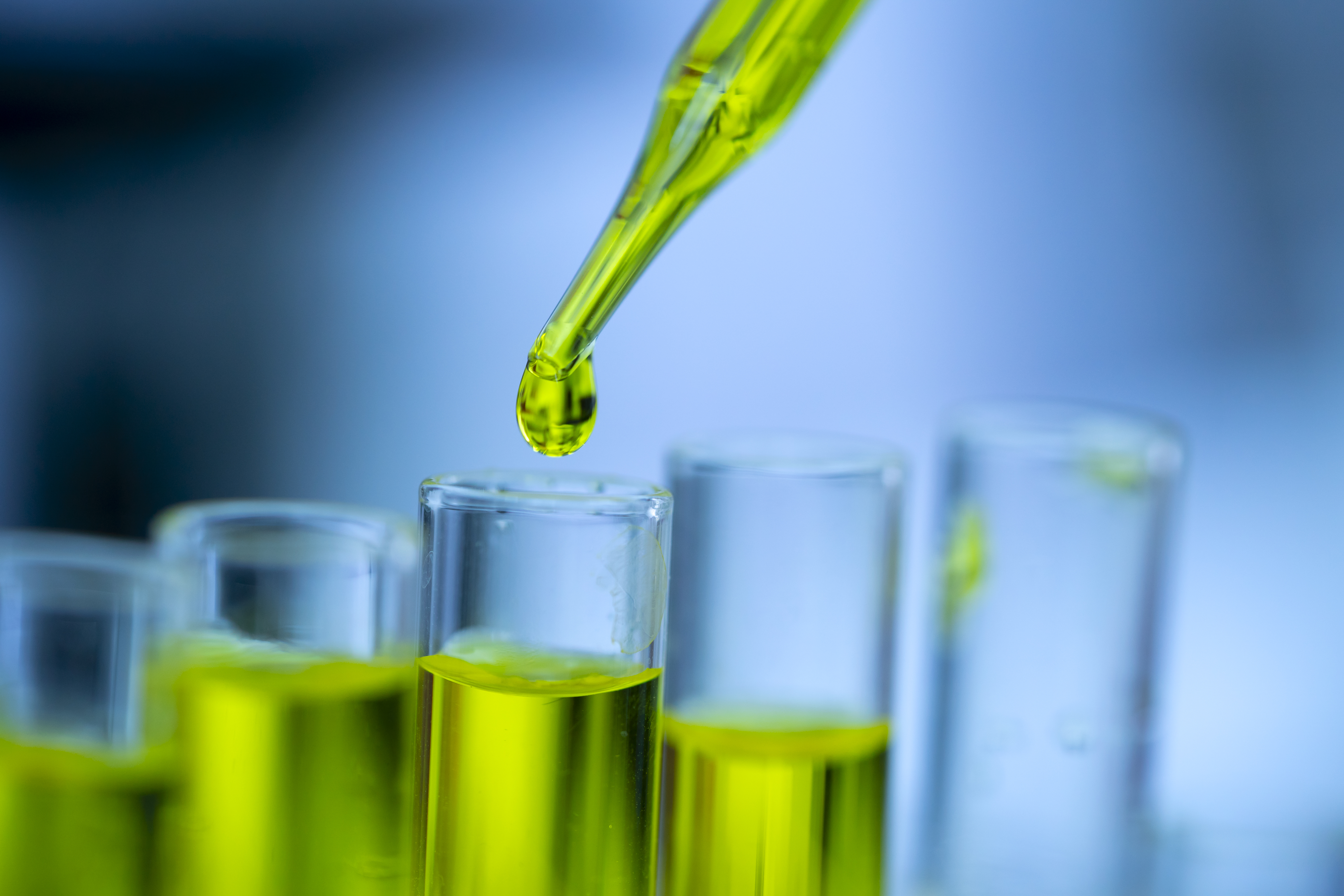 Closeup of a female scientist in a laboratory working with CBD oil extracted from a marijuana plant. She is tearing the CBD oil from one tube into another