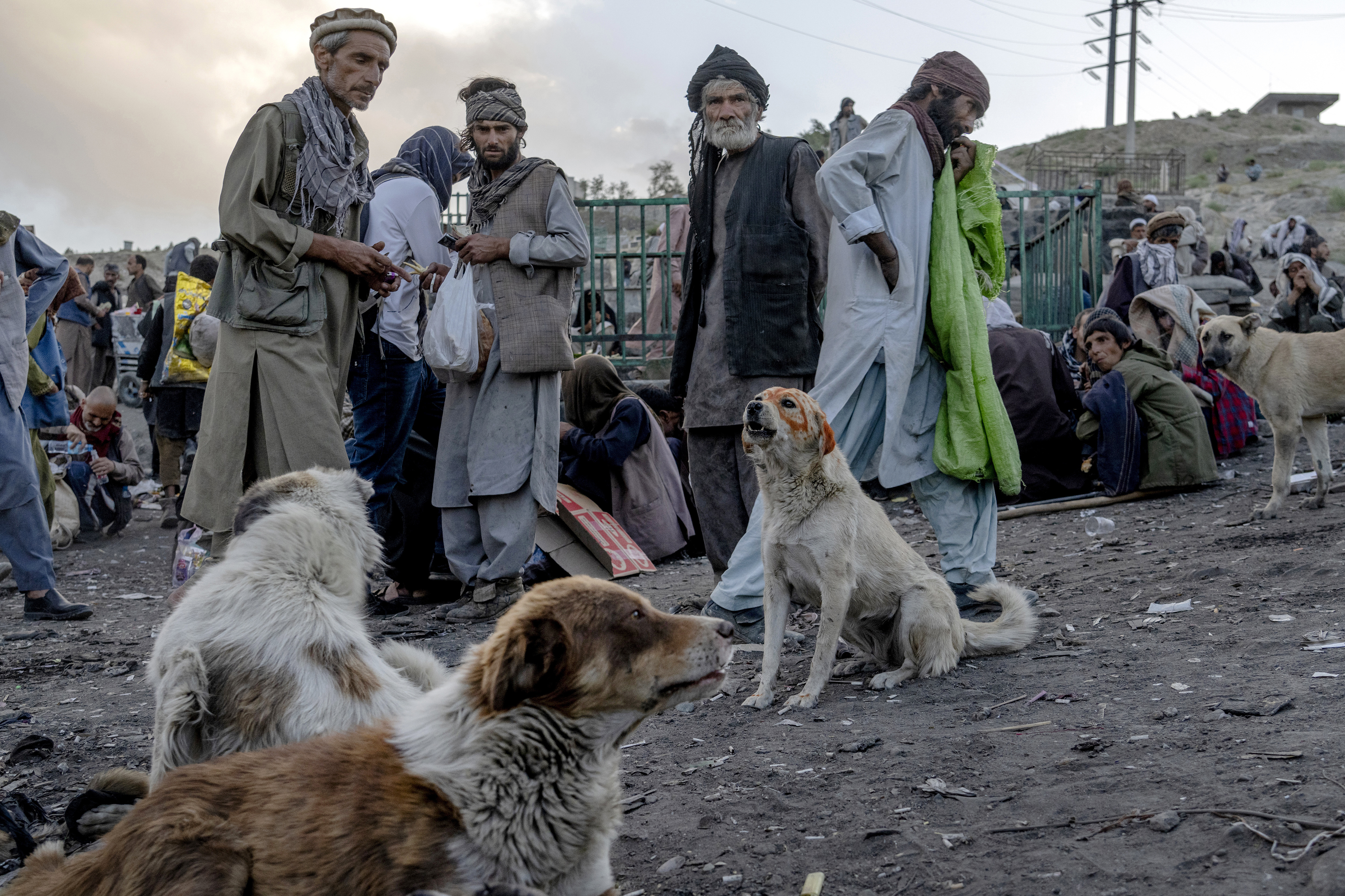 La situación no ha hecho más que empeorar desde que la economía del país se derrumbó tras la toma del poder por los talibanes en agosto (AP Photo/Ebrahim Noroozi)
