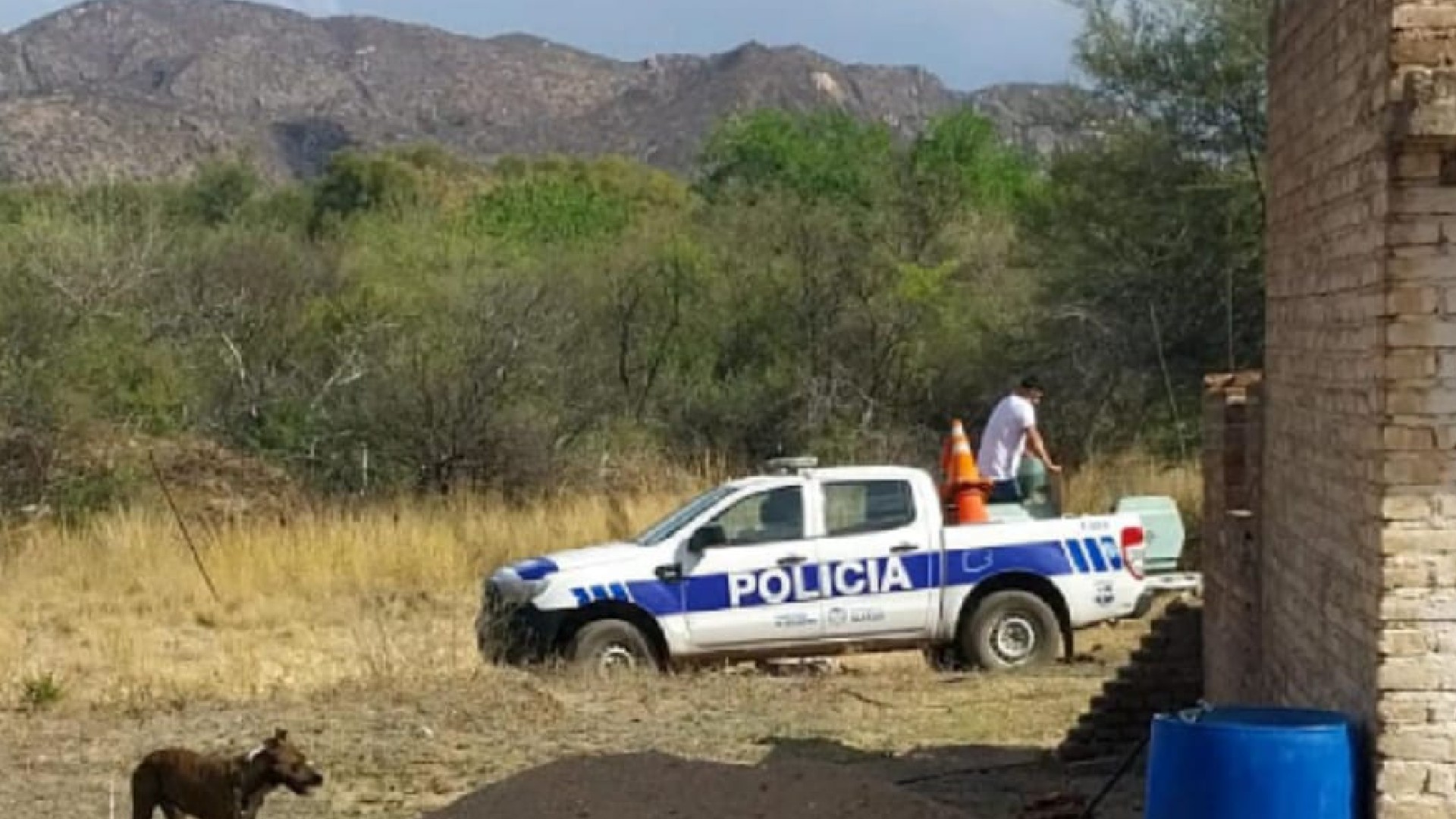 Horror en San Luis: mató a su madre y le dieron prisión preventiva - Infobae