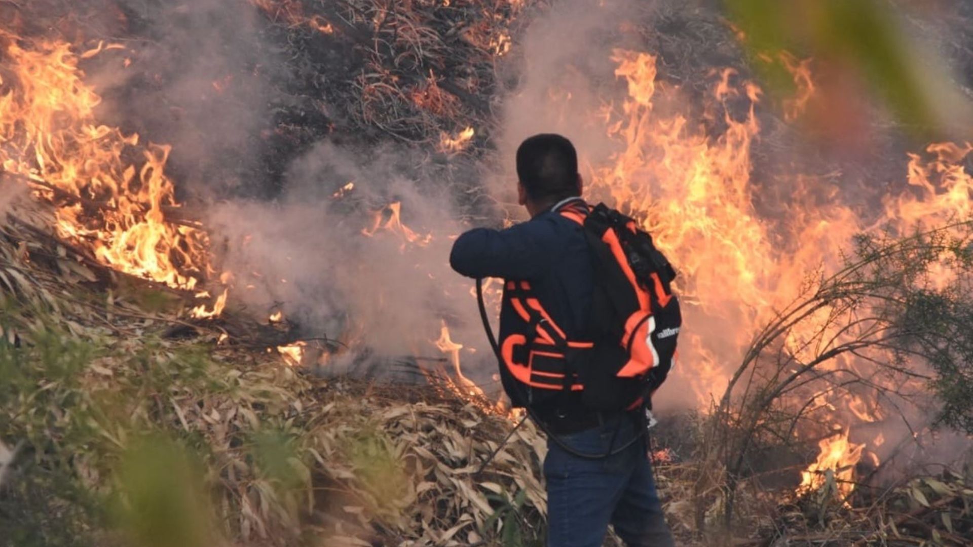 Incendios forestales en Perú EN VIVO: 22 regiones afectadas por fuego fuera  de control - Infobae