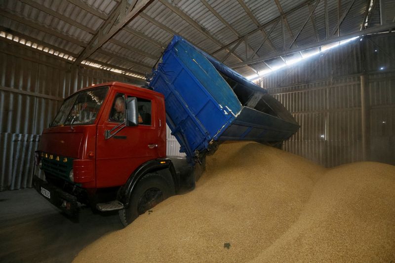 Según Ucrania, Moscú se ha incautado entre 400.000 y 500.000 toneladas de grano por valor de más de 100 millones de dólares