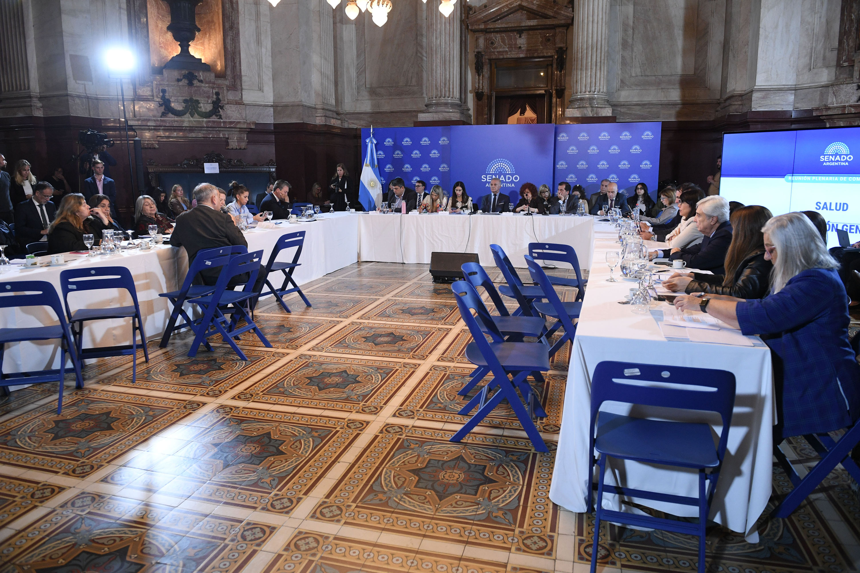 El Senado retoma el debate para cambiar la ley de salud mental: expondr&aacute;n m&aacute;s de 30 invitados