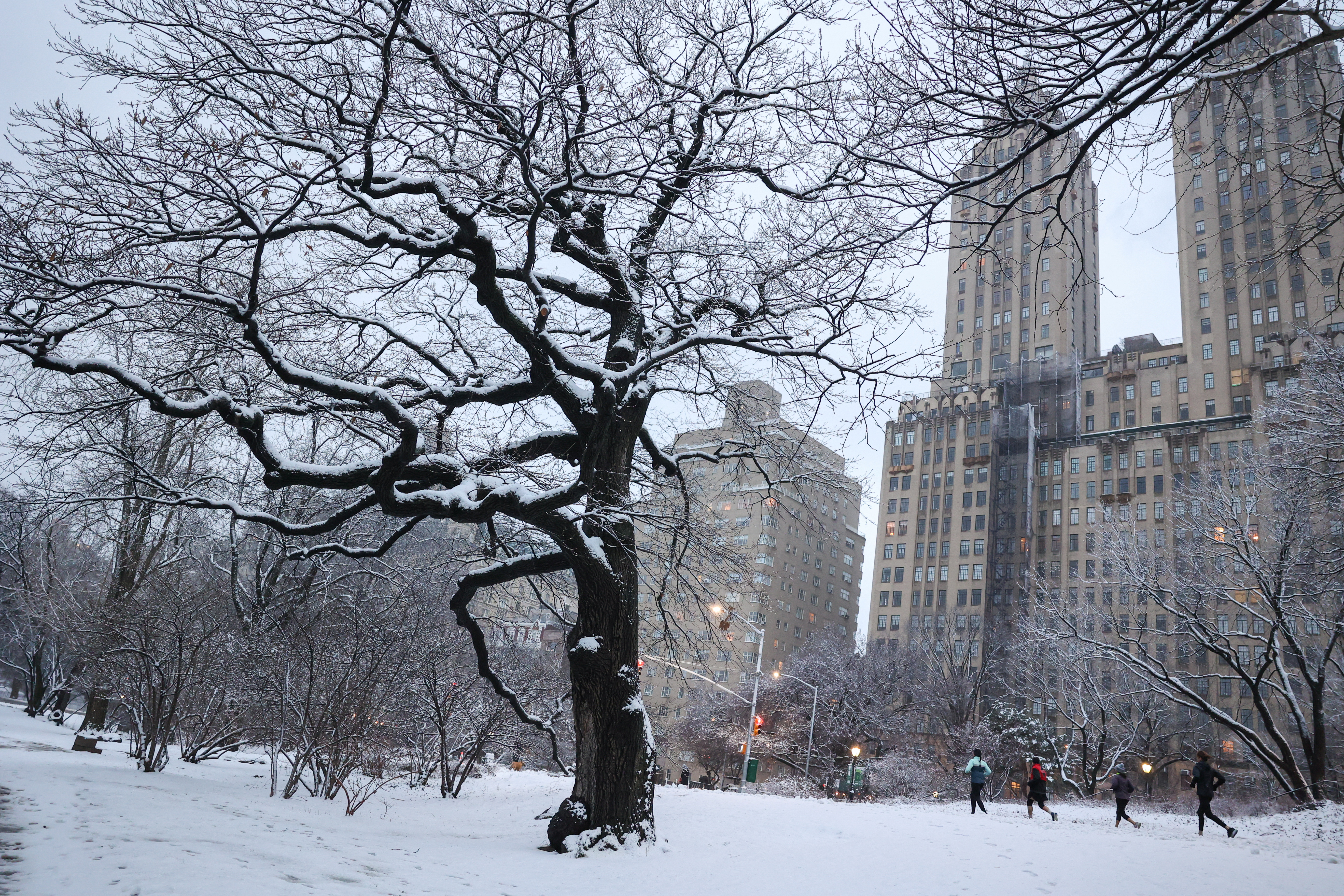 Nieve en Central Park (REUTERS/Caitlin Ochs)