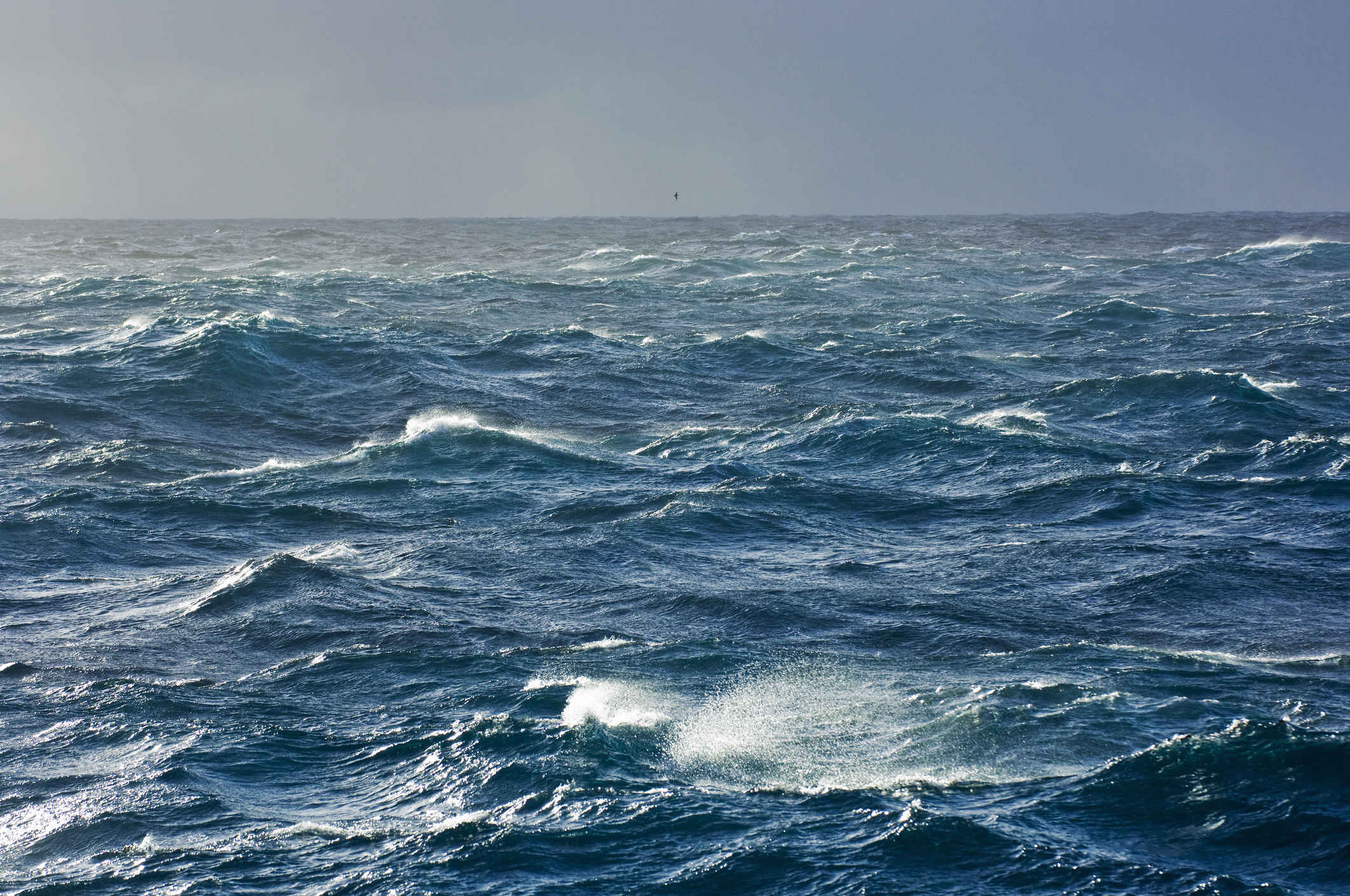Cómo es la ‘autolimpieza’ de la atmósfera marina y cuál es su función ante el cambio climático