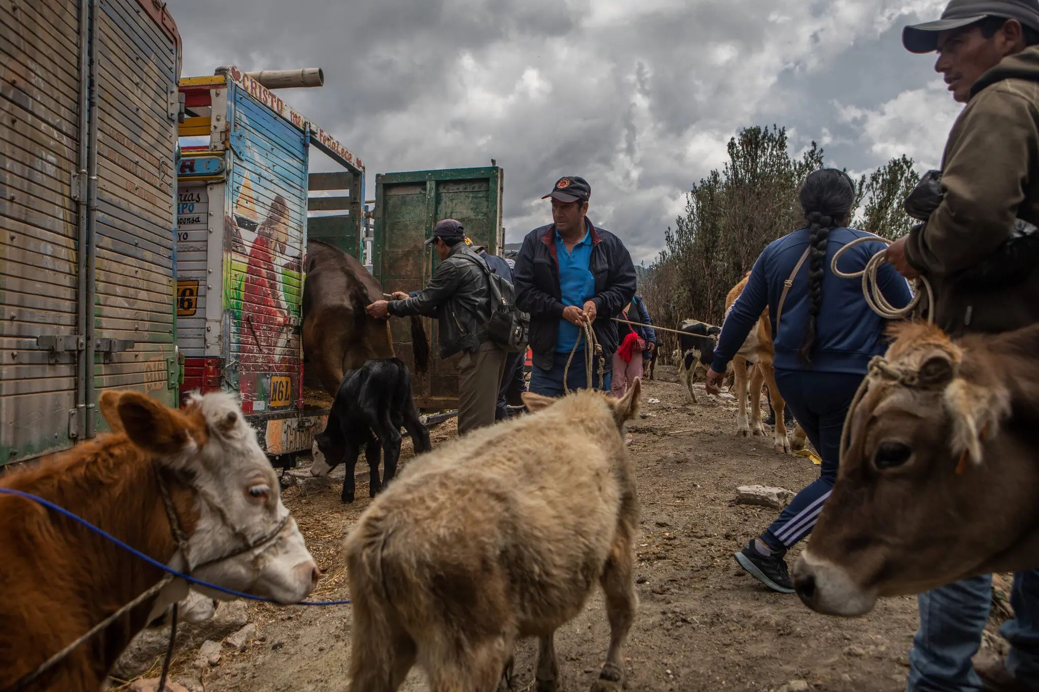 Comerciantes de ganado en el mercado de un pueblo ubicado en la ruta hacia la ciudad natal del presidente peruano, Pedro Castillo, en la región de Cajamarca. | Marco Garro para The New York Times