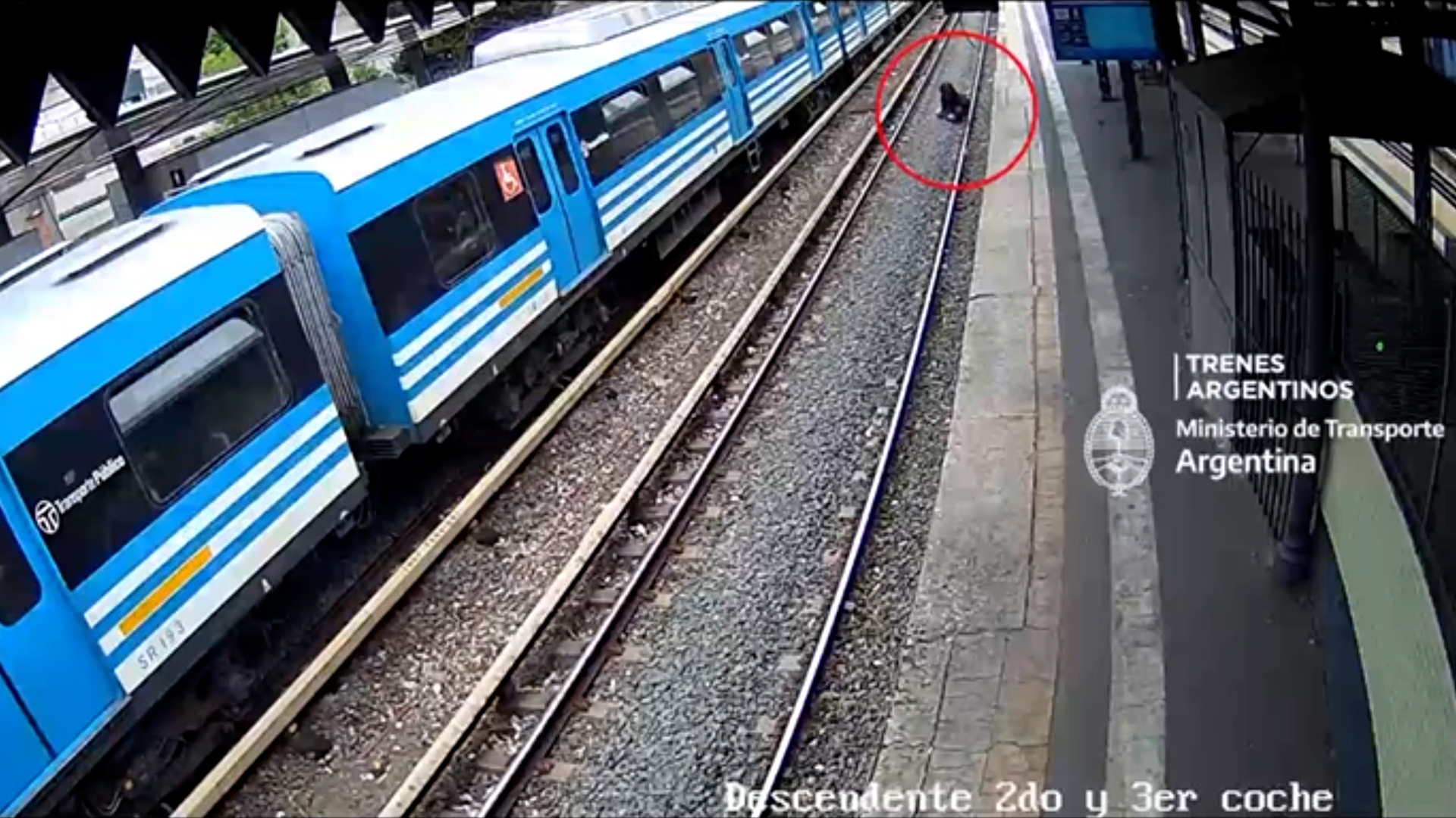 Inseguridad En El Tren Sarmiento Un Menor Armado Robó Y Lo Detuvieron Mientras Corría Por Las 6013