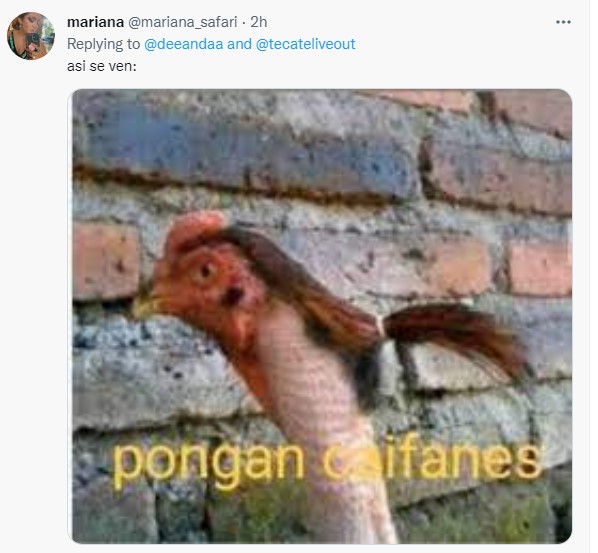 Hubo personas que defendieron al festival ante las inconformidades (Foto: Twitter)