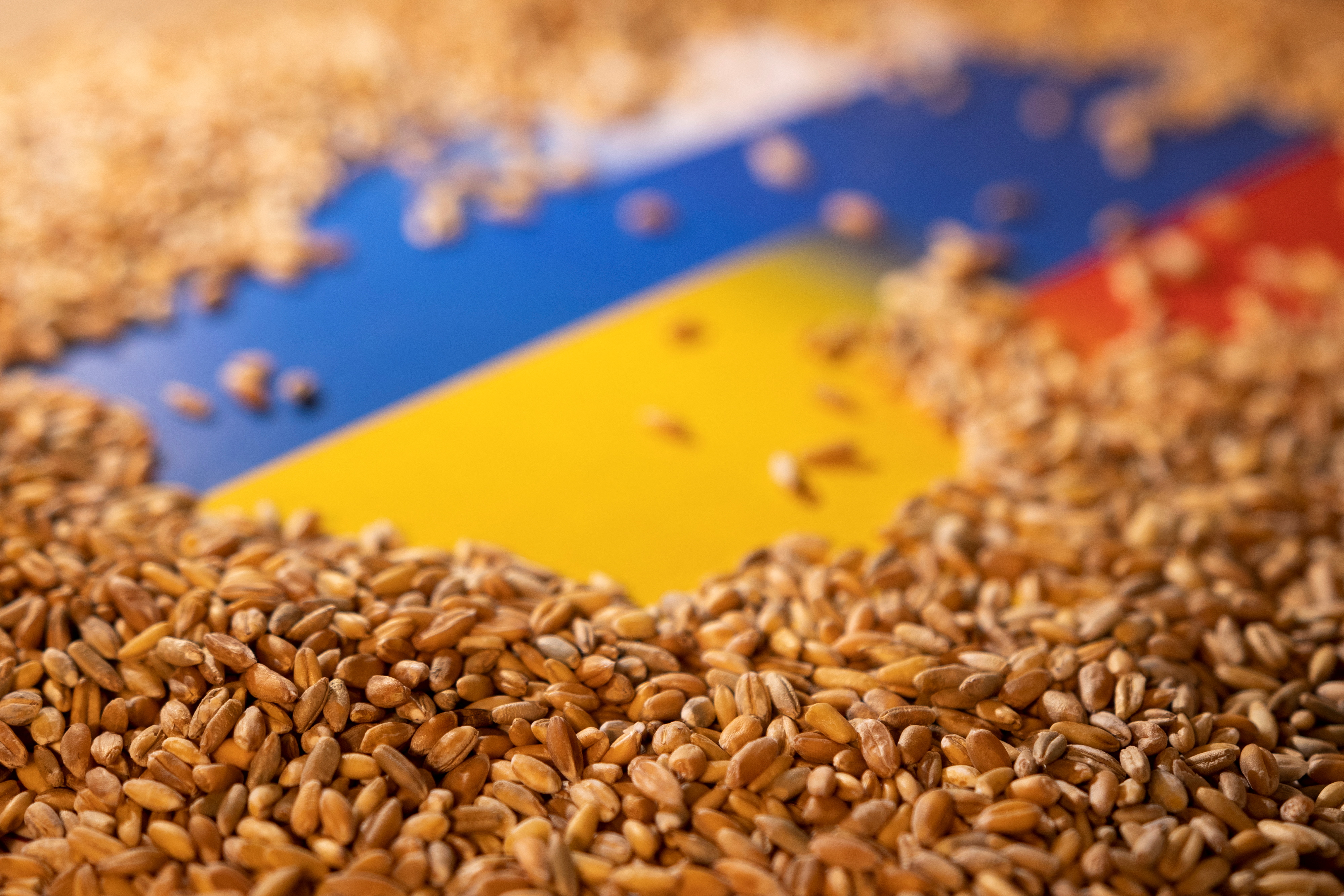 Ucrania denunció que Rusia vende en Siria los granos robados en su territorio