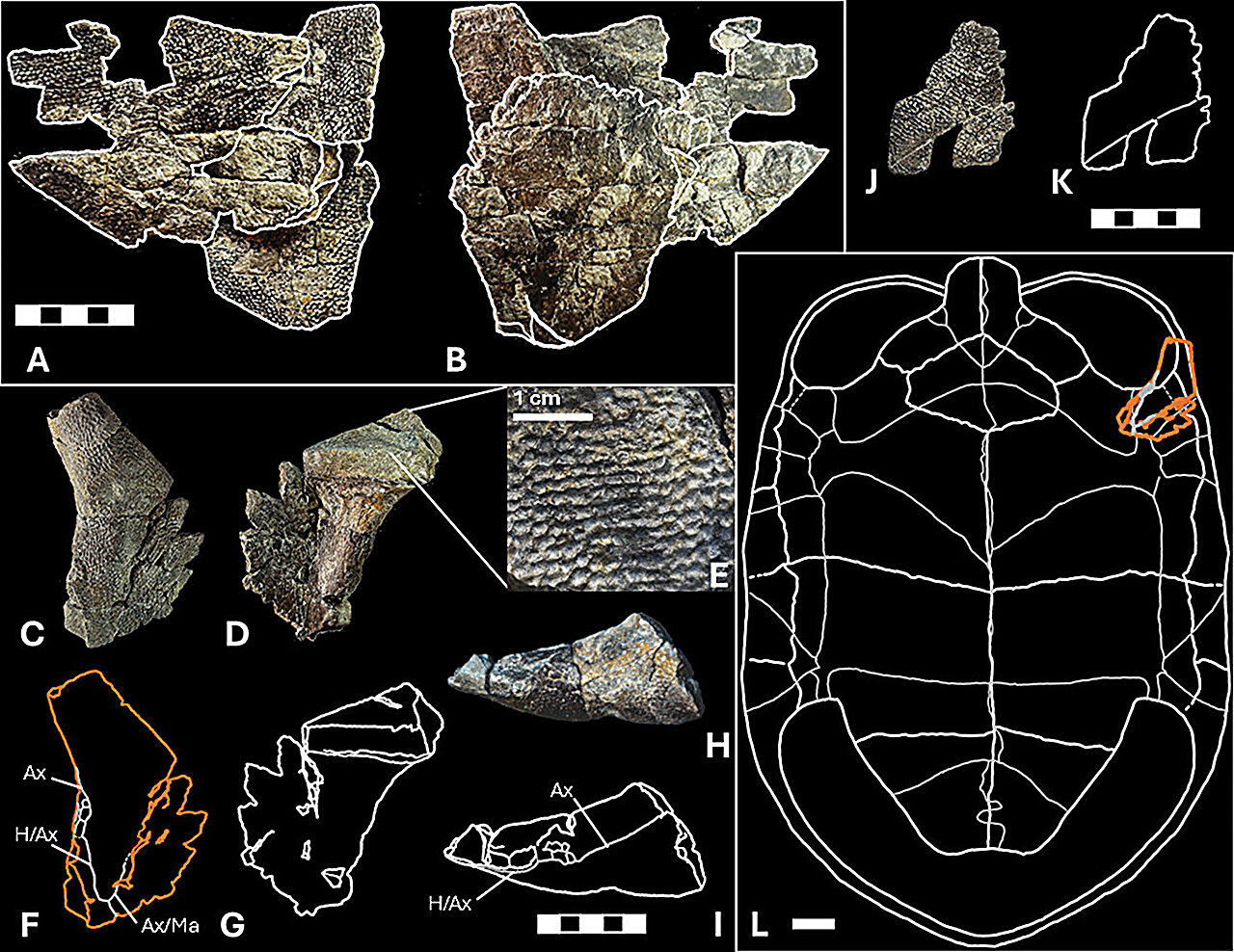 Crisis sin precedentes en Cuba: el colapso energético revela la vulnerabilidad estructural de la economía de la isla