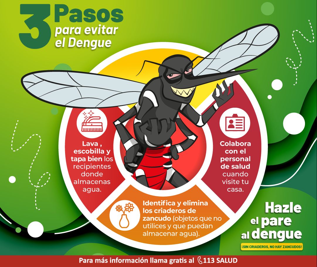 Dengue En Perú Recomendaciones Y Lo Que Debes Hacer Para Prevenir El