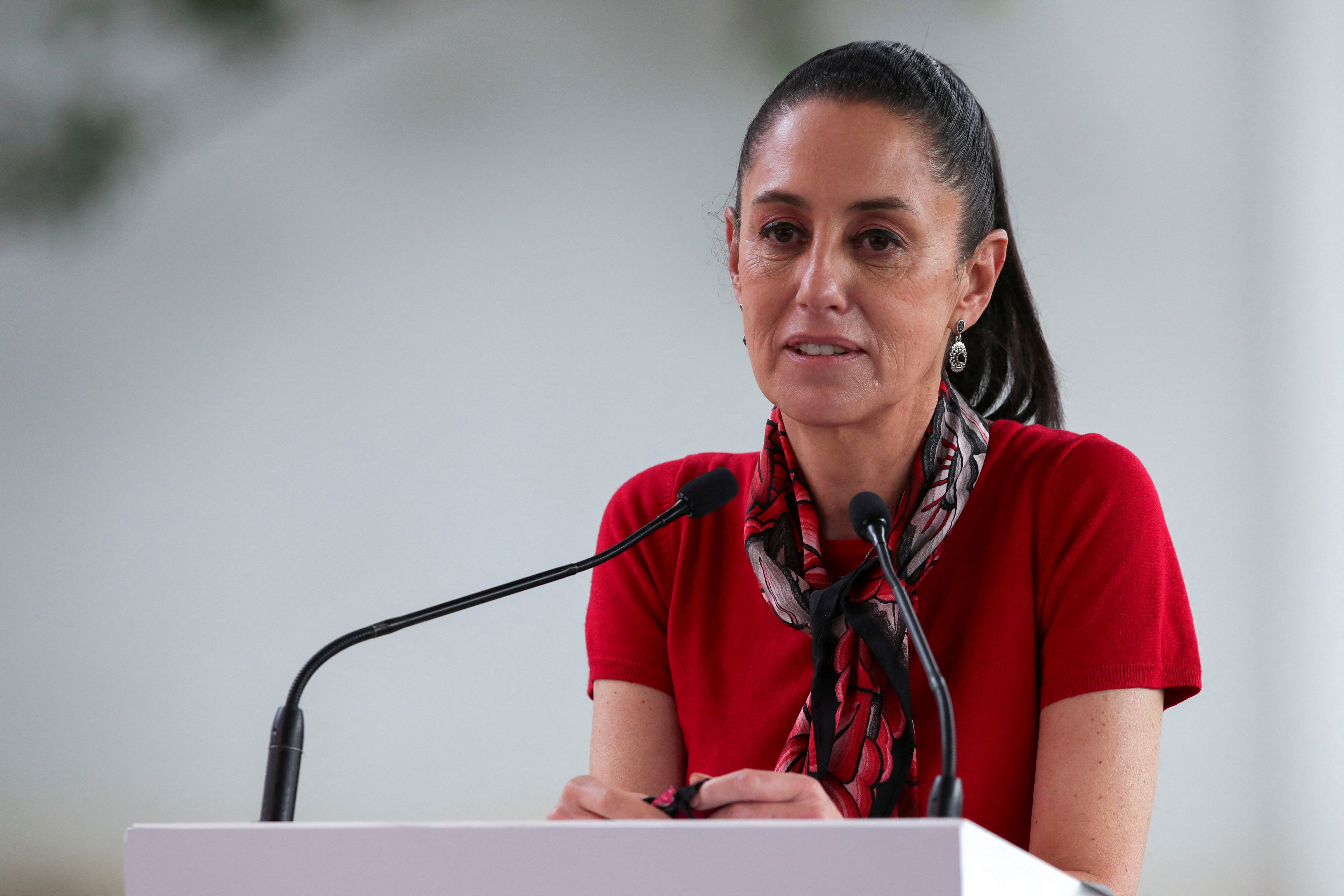 Riva Palacio aseguró que Sheinbaum no tiene la fuerza para ascender sola como candidata (REUTERS/Henry Romero)