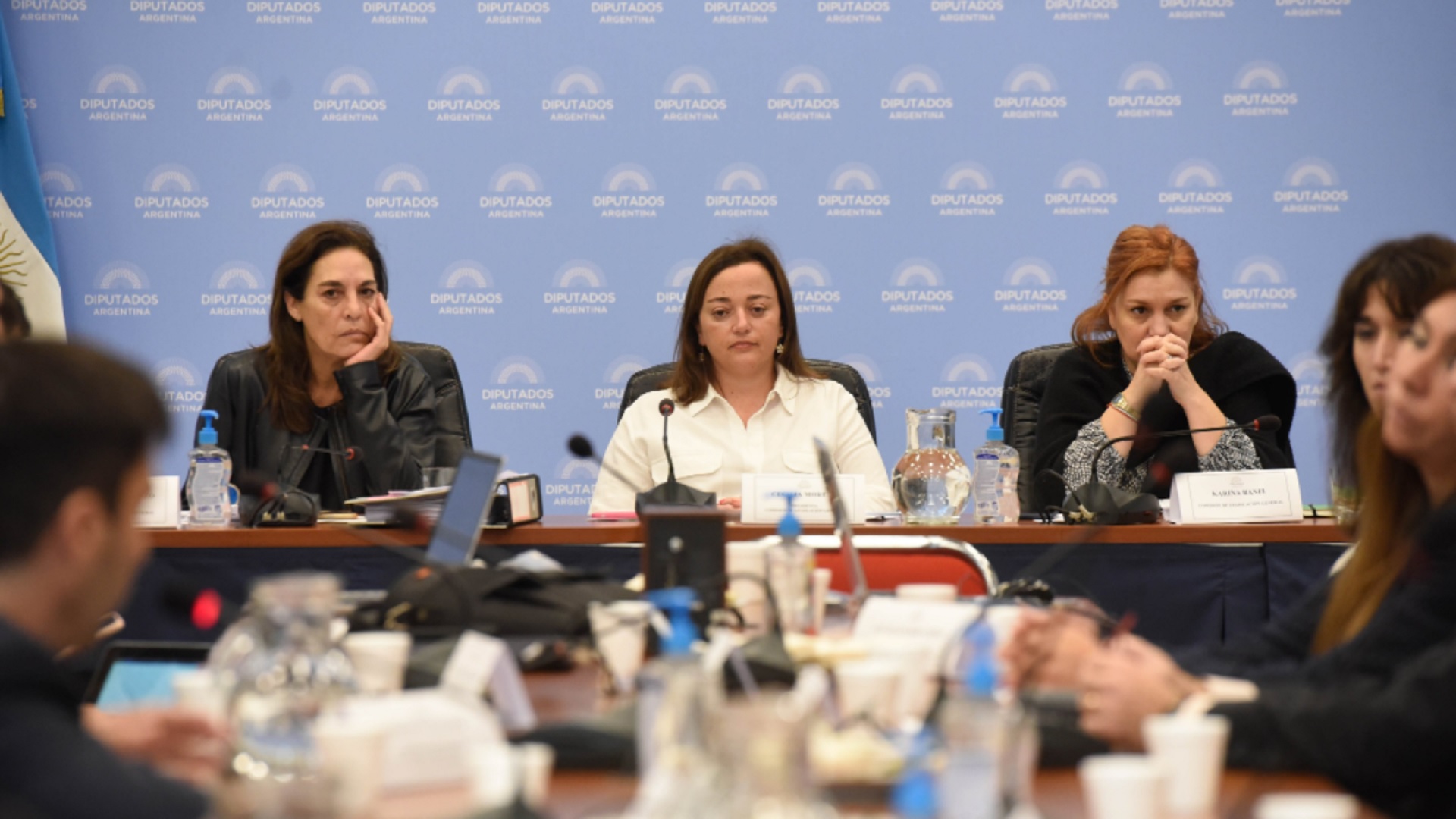 Carla Carrizo, Cecilia Moreau y Karina Banfi en la Comisión de Legislación General