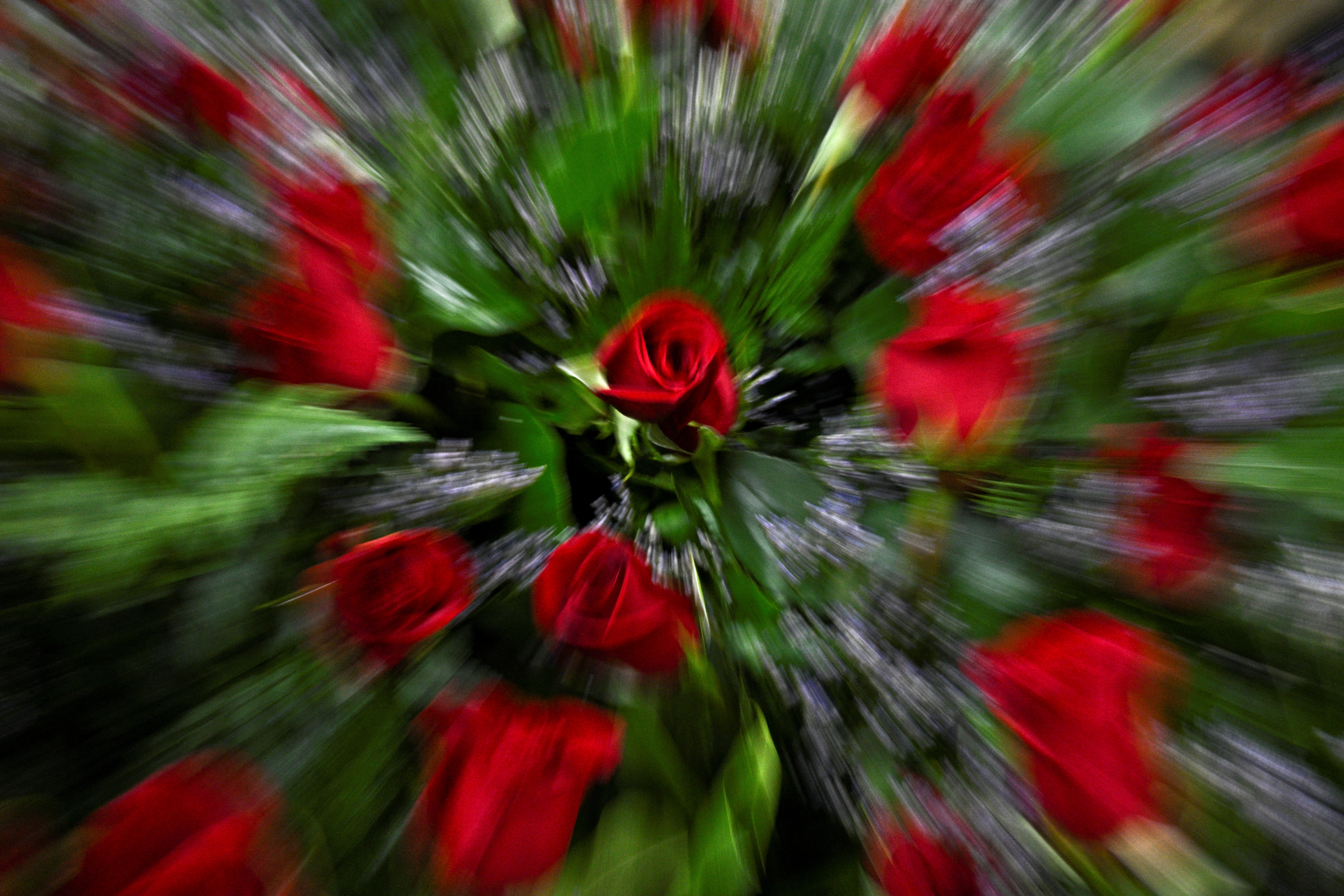 Rosas, una prueba de fe. (REUTERS/Jon Cherry)
