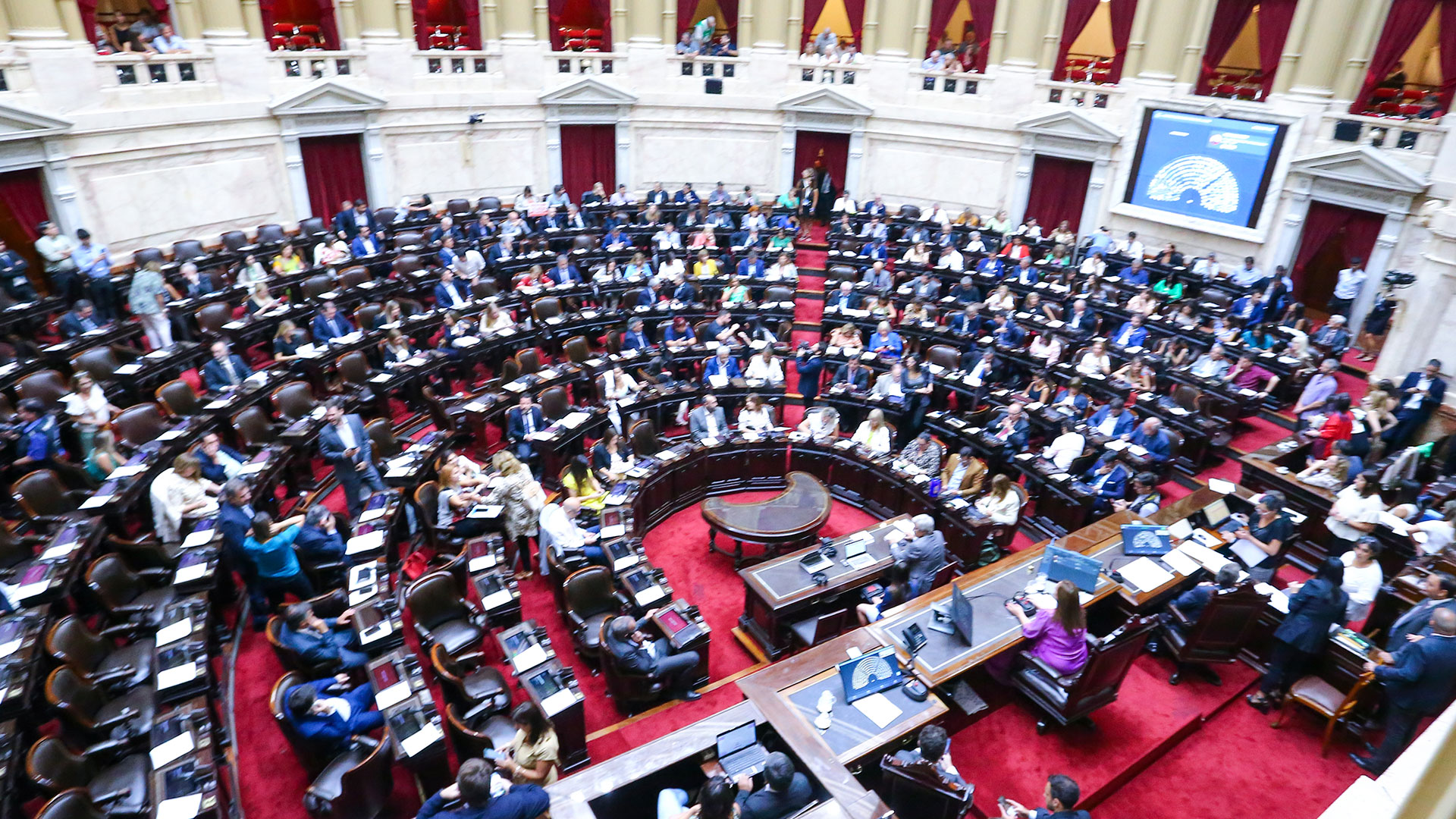 La Cámara de Diputados sesionará el próximo miércoles (Luciano González)