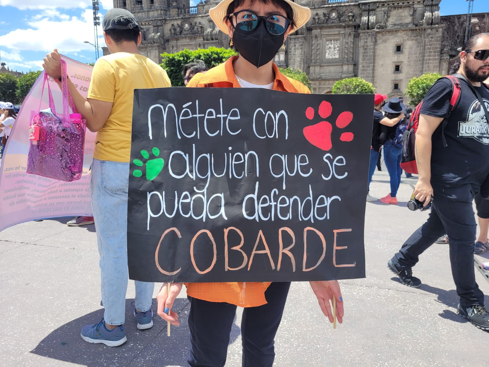 Alrededor de 60 mil personas marcharon este domingo en la capital mexicana en la Marcha por la Defensa de los Animales 
(Foto: Armando Montes)