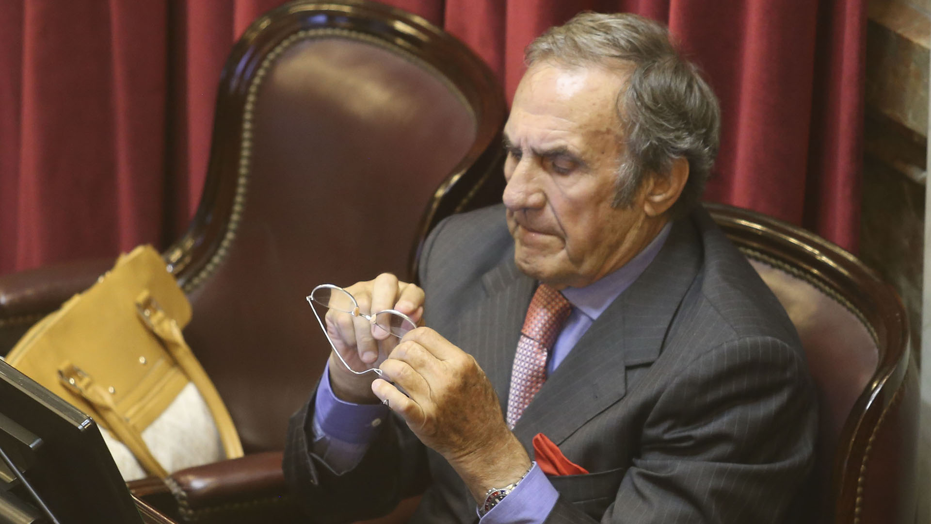 Con el pasar de los años, se consolidó como una de las figuras más recurrentes en el Senado argentino (NA / JUAN VARGAS)