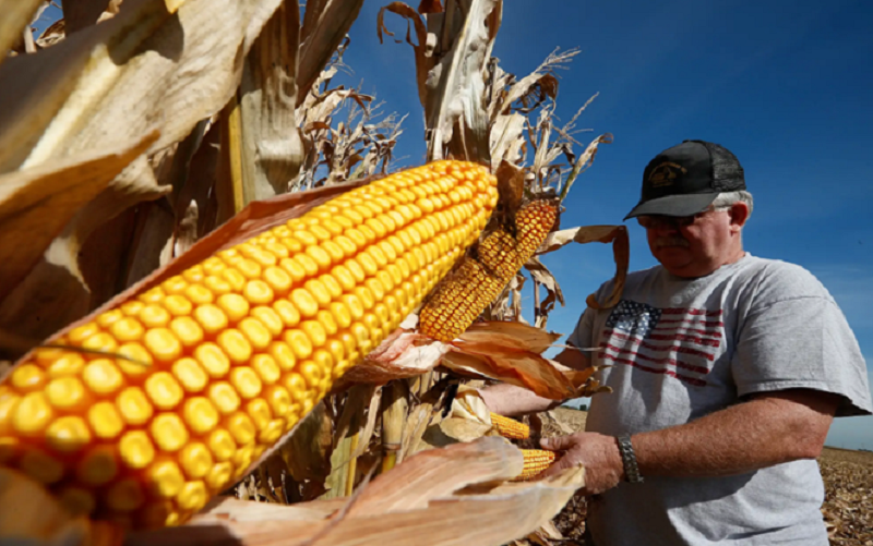 Estados Unidos sale al rescate de sus farmers - Infobae