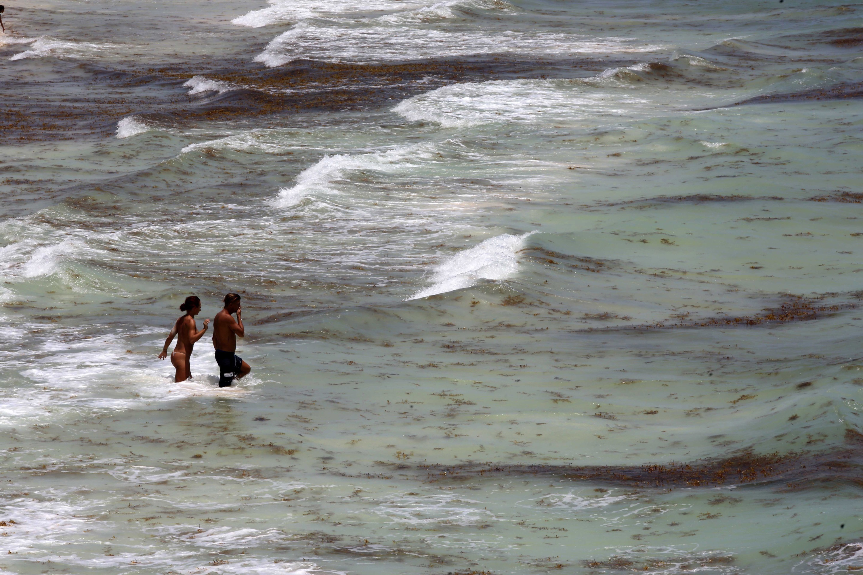 CNDH solicita reparar daño ecológico que dejaron dos proyectos en playas de Tulum 
