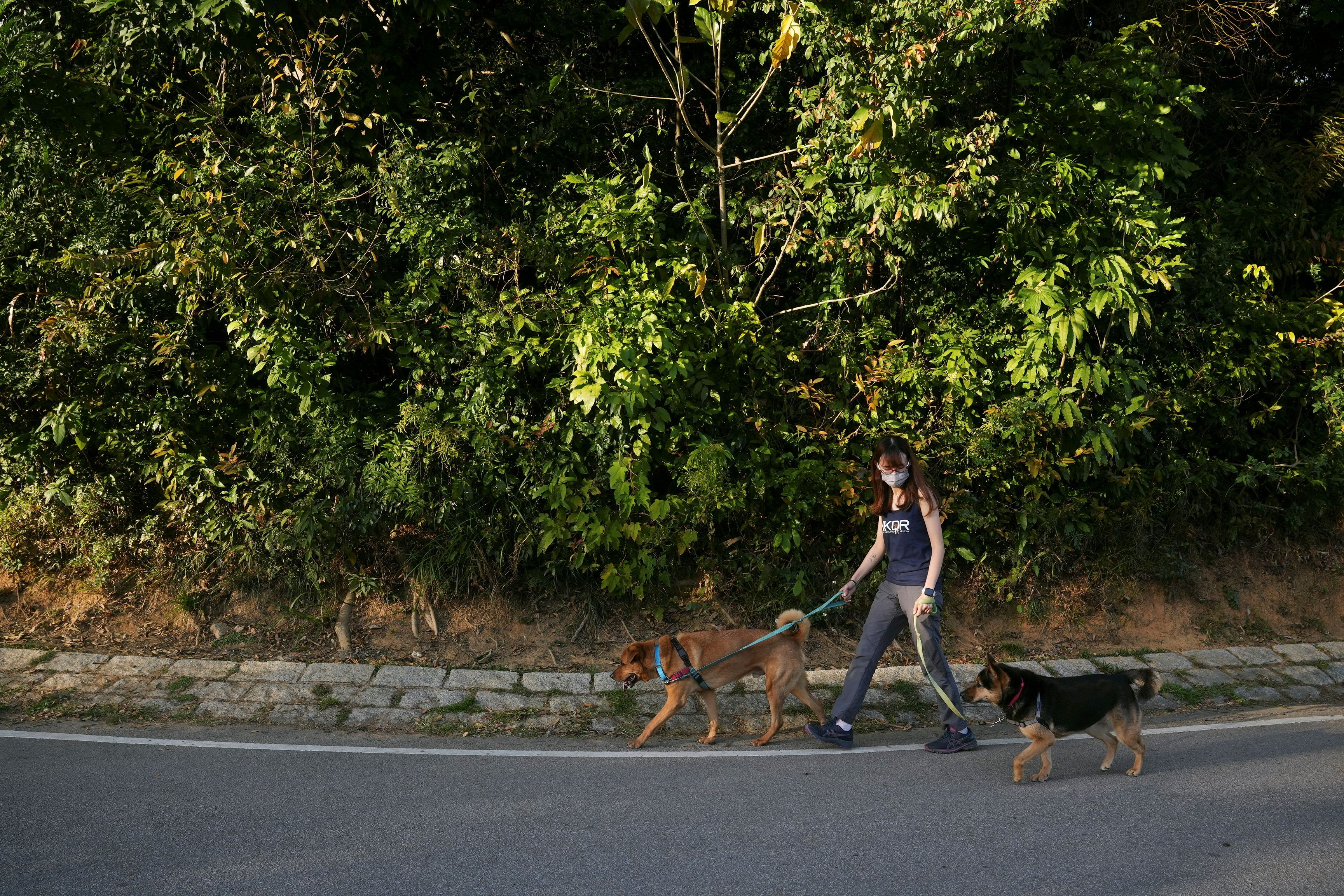 Casi ningún animal ostenta nuestra forma erguida de caminar (REUTERS)