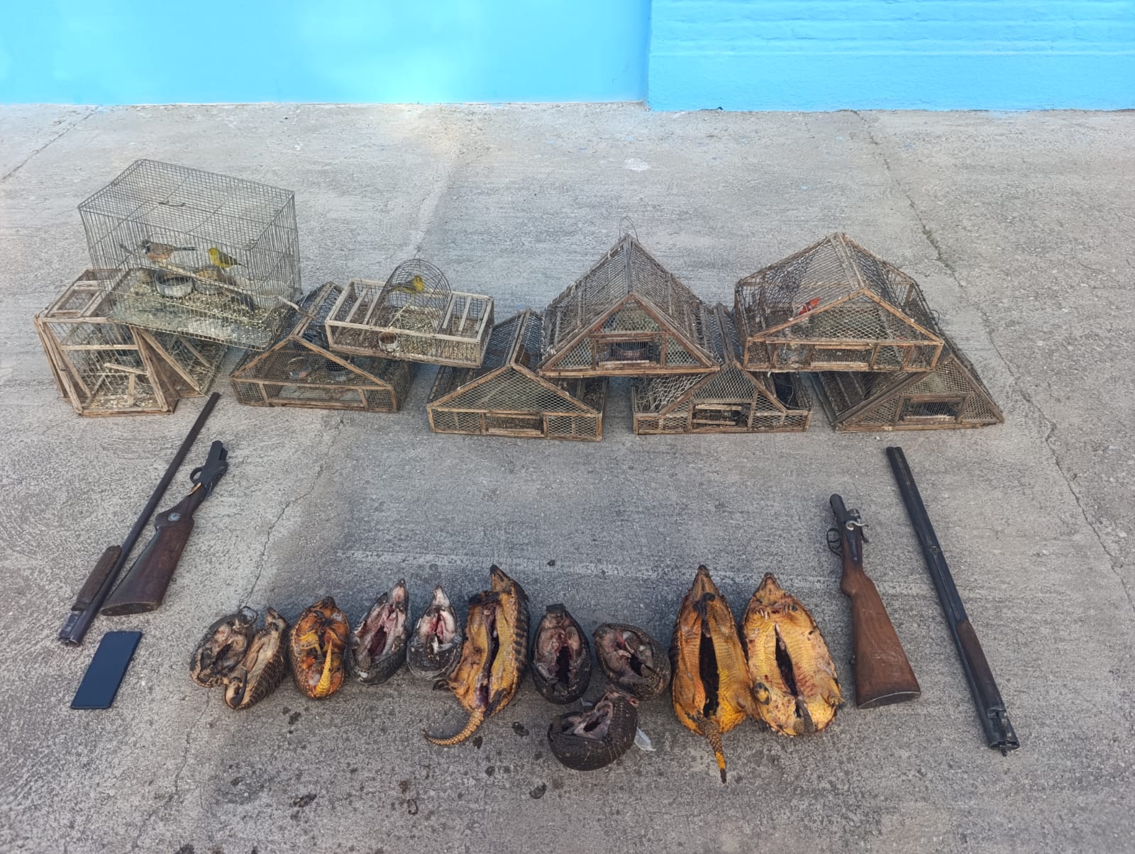 Detuvieron a cuatro hombres por caza ilegal en C&oacute;rdoba: les encontraron armas, animales silvestres y perros