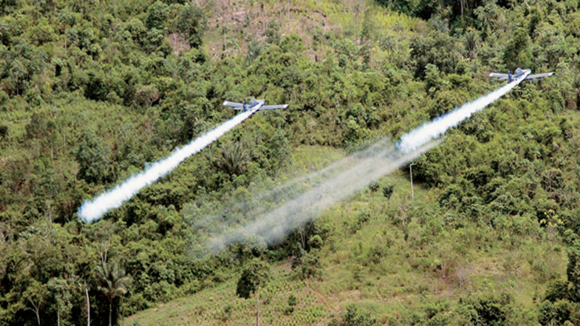 Fumigación de cultivos ílicitos en Colombia. Imagen de referencia.